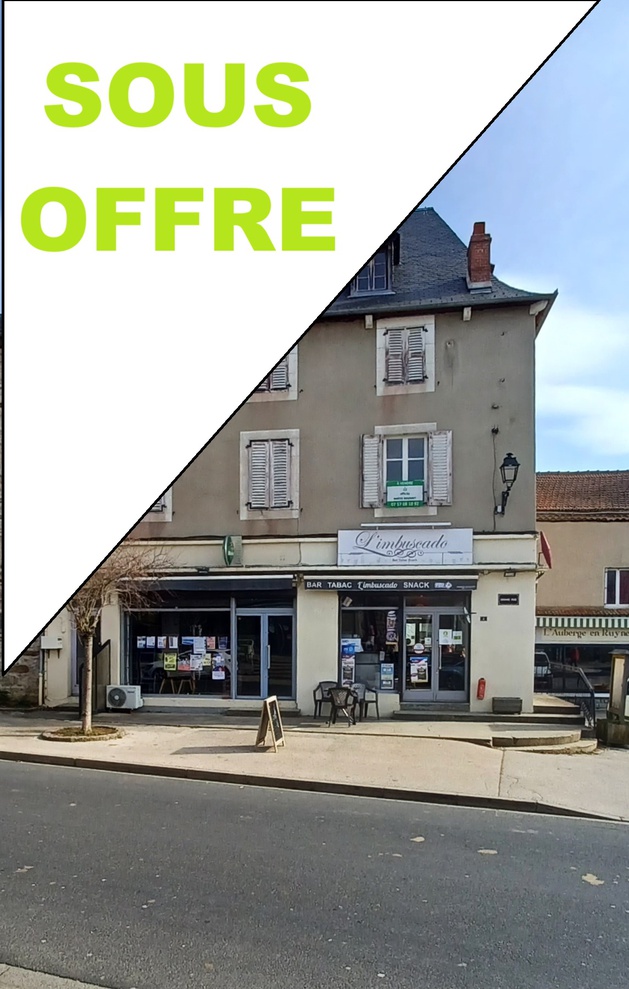immeuble 13 pièces - 316m2 à Ruynes-en-Margeride (15320)