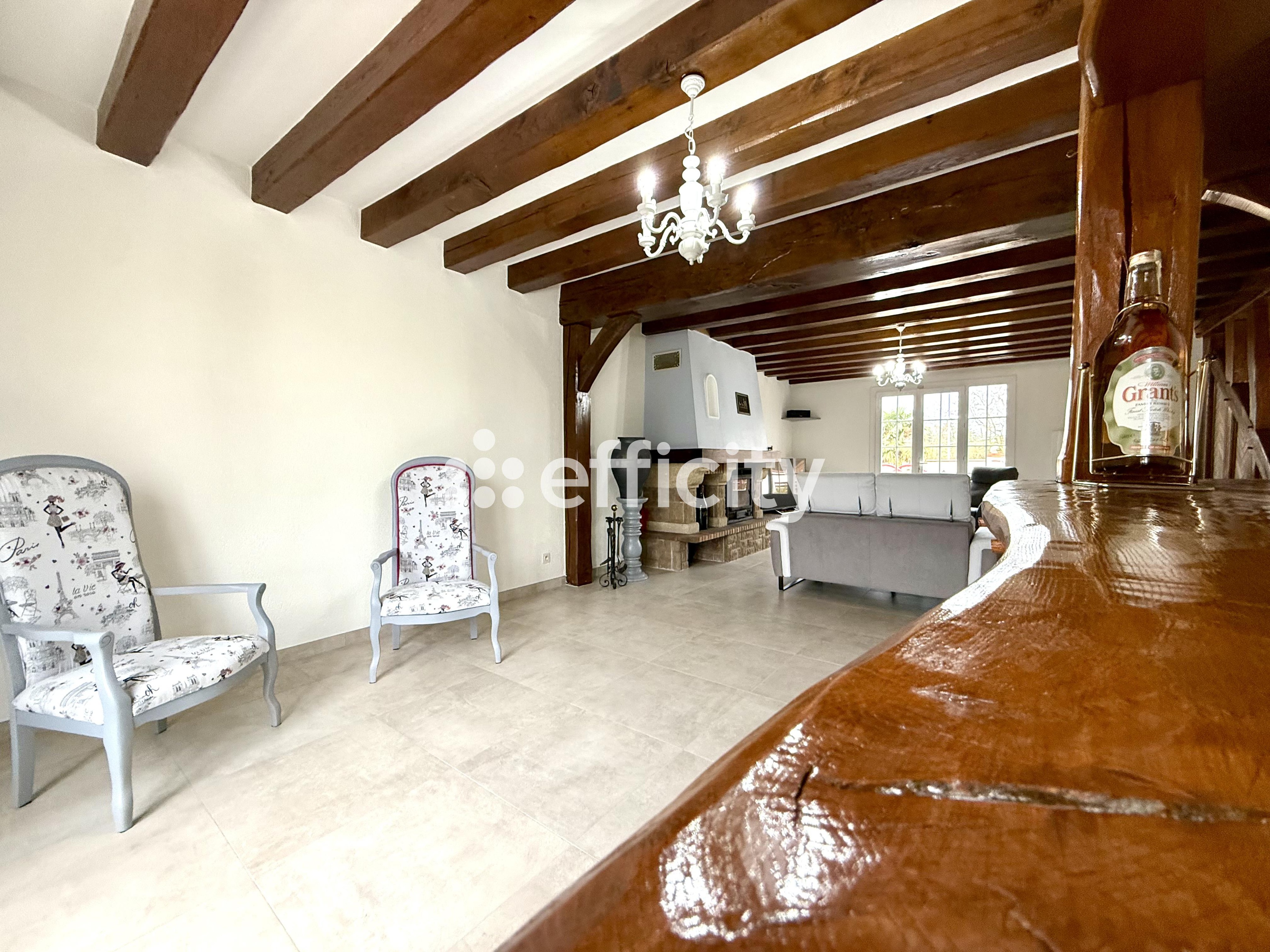Achat immobilier Maison 7 pièces  272m2 à Saint-Pryvé-Saint-Mesmin (45750) - Photo n°5