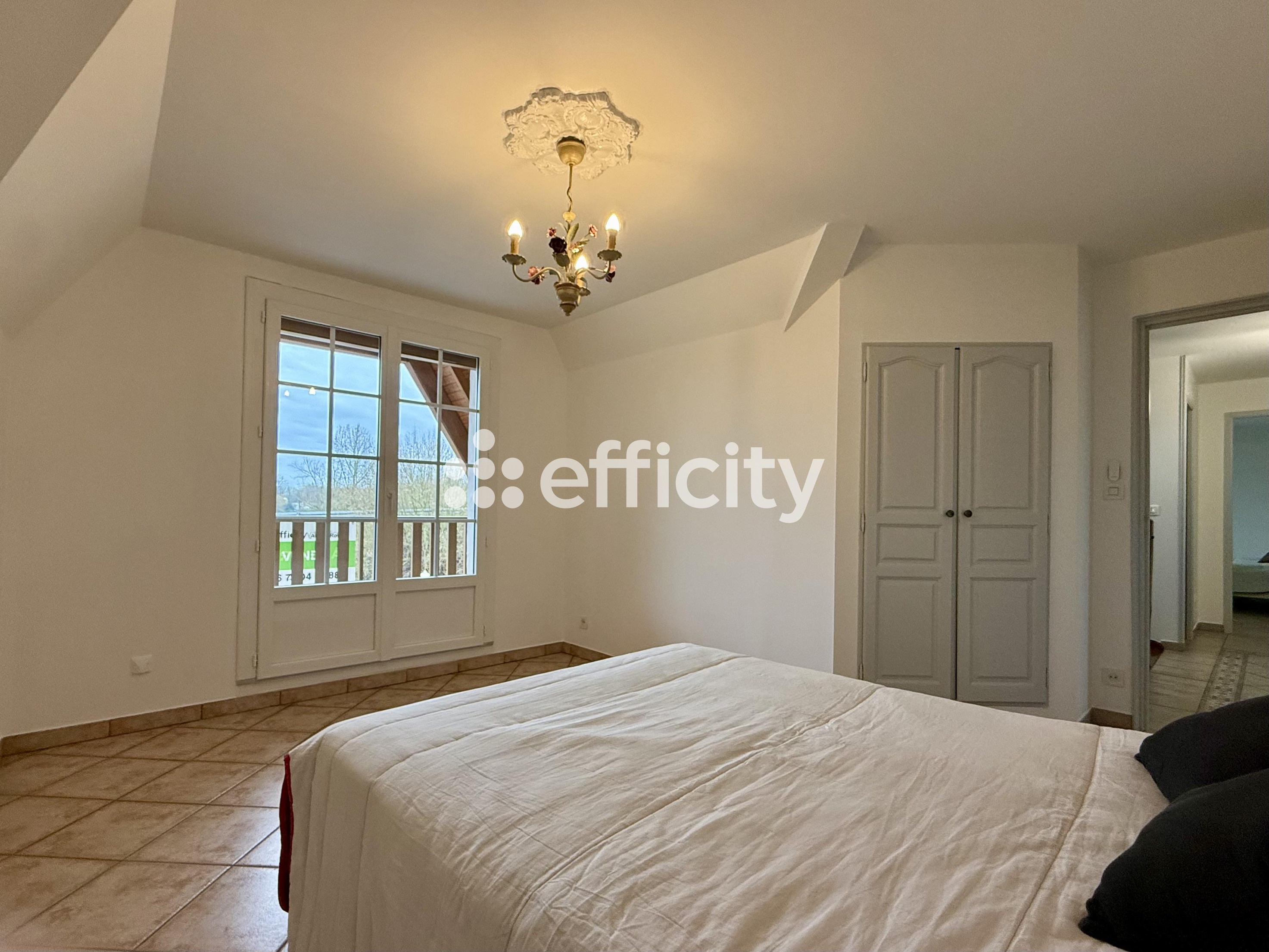 Achat immobilier Maison 7 pièces  272m2 à Saint-Pryvé-Saint-Mesmin (45750) - Photo n°9