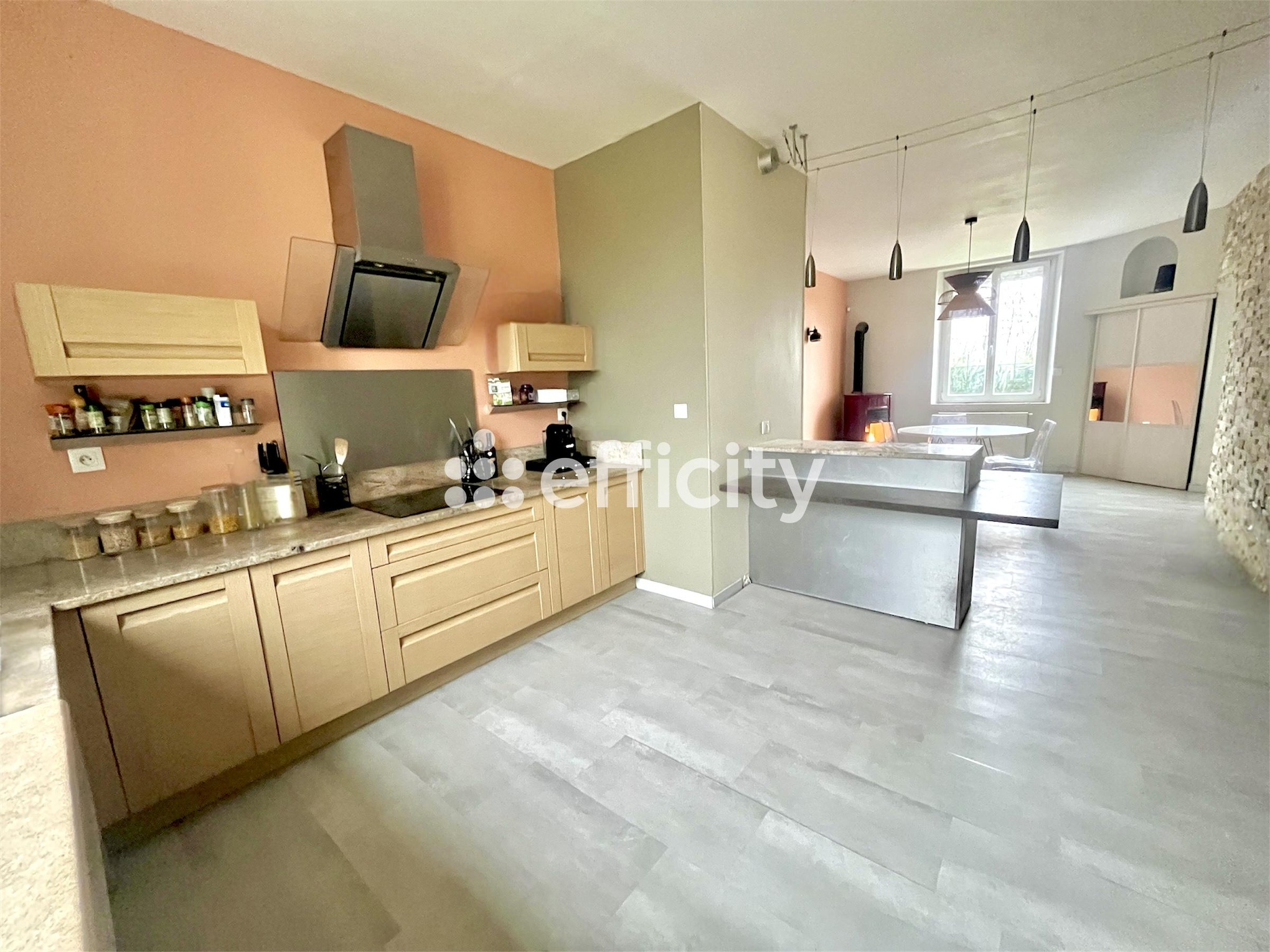 Achat immobilier Maison 7 pièces  245m2 à Ciry-Salsogne (02220) - Photo n°8