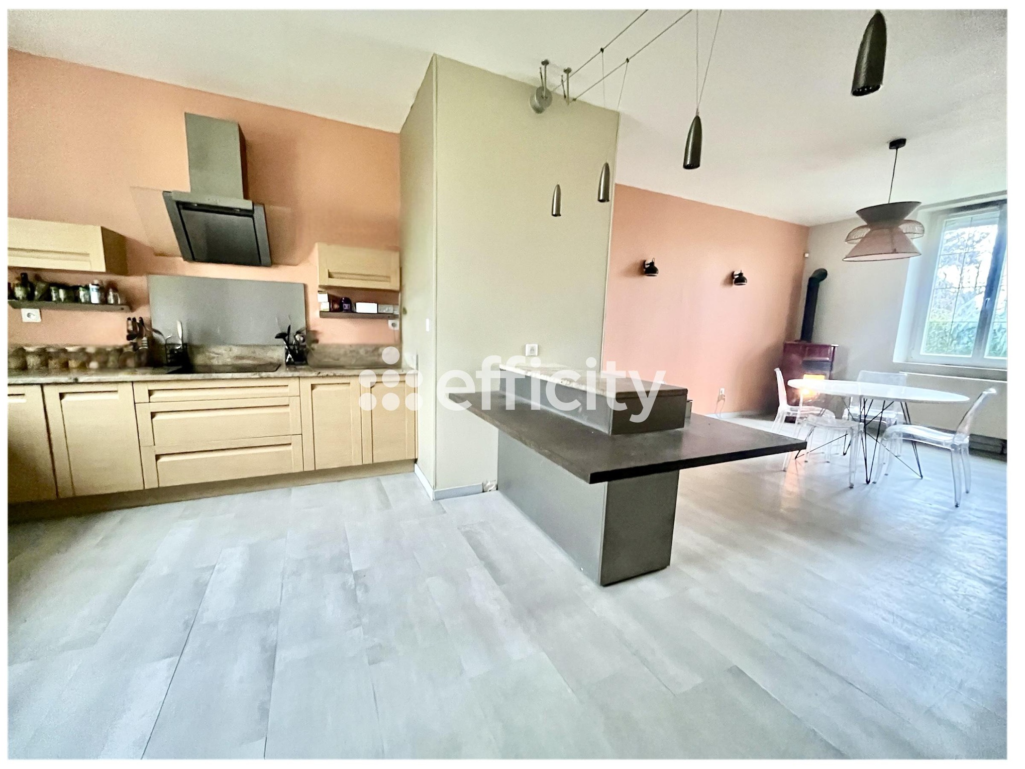 Achat immobilier Maison 7 pièces  245m2 à Ciry-Salsogne (02220) - Photo n°9