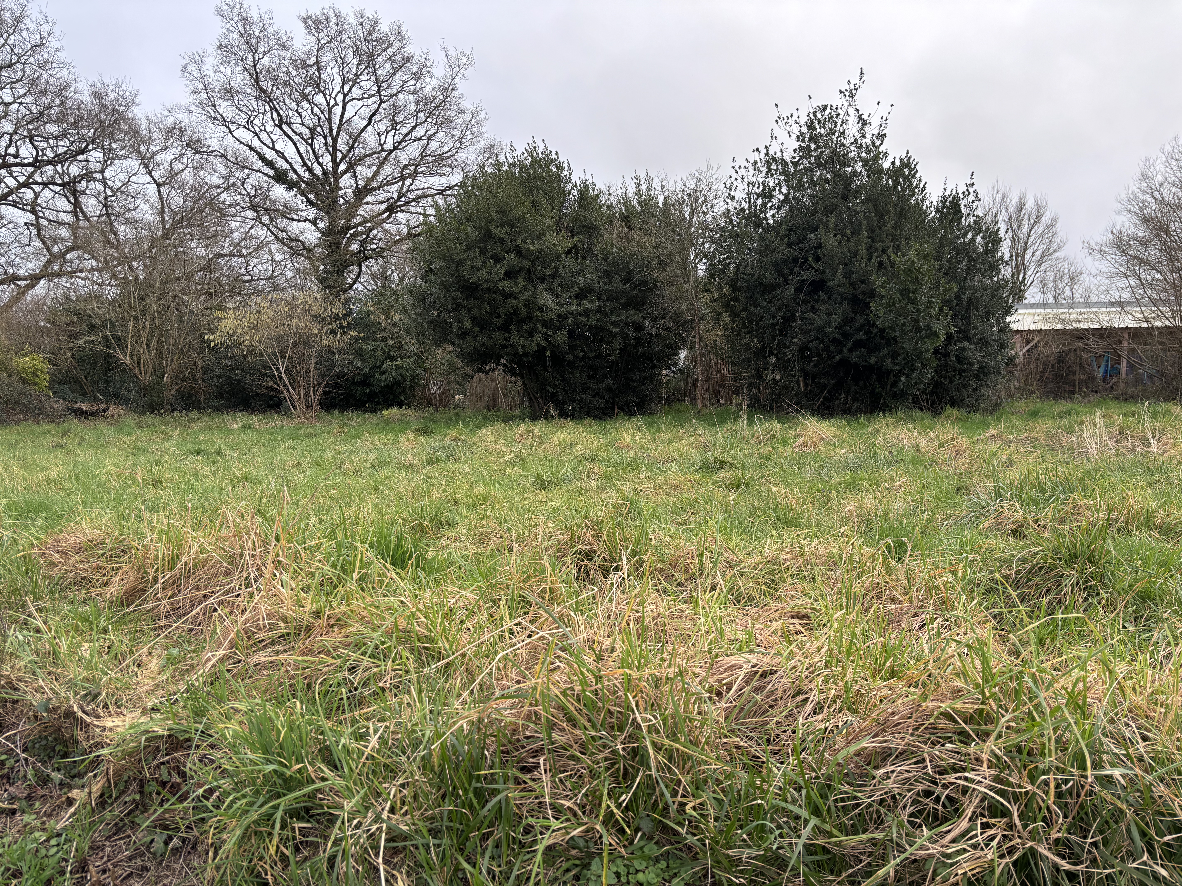 Achat immobilier Terrain   660m2 à Pontchâteau (44160) - Photo n°1