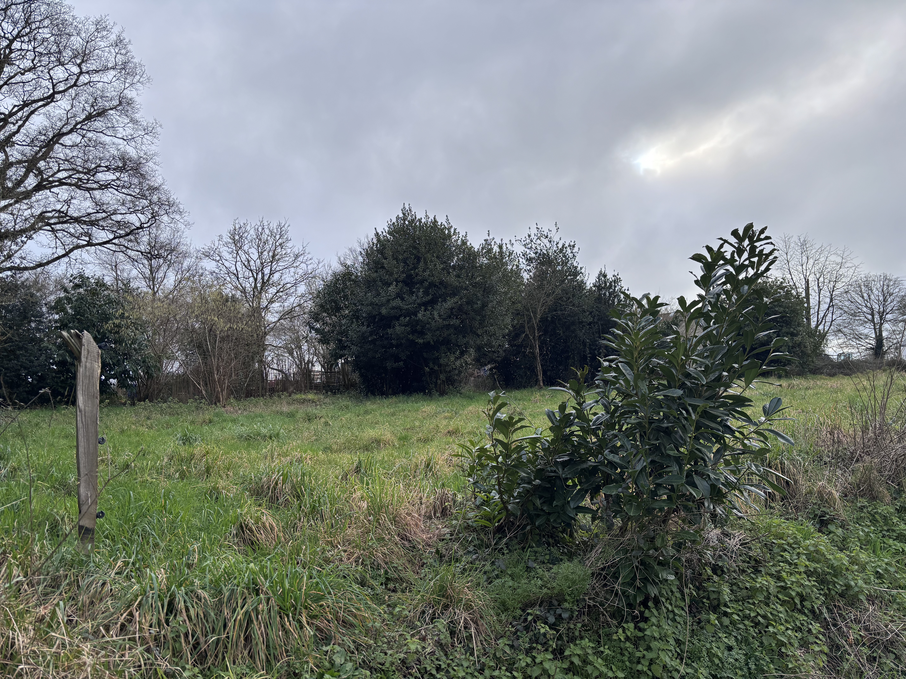 terrain  - 727m2 à Pontchâteau (44160)