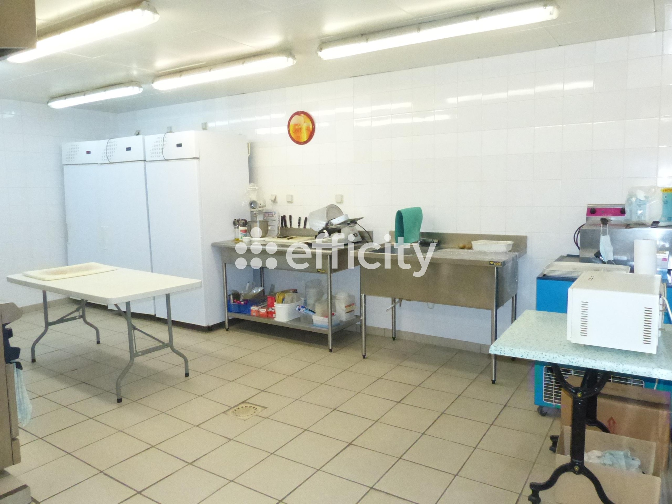 Achat immobilier Immeuble 15 pièces  600m2 à Les Monts-Verts (48200) - Photo n°6