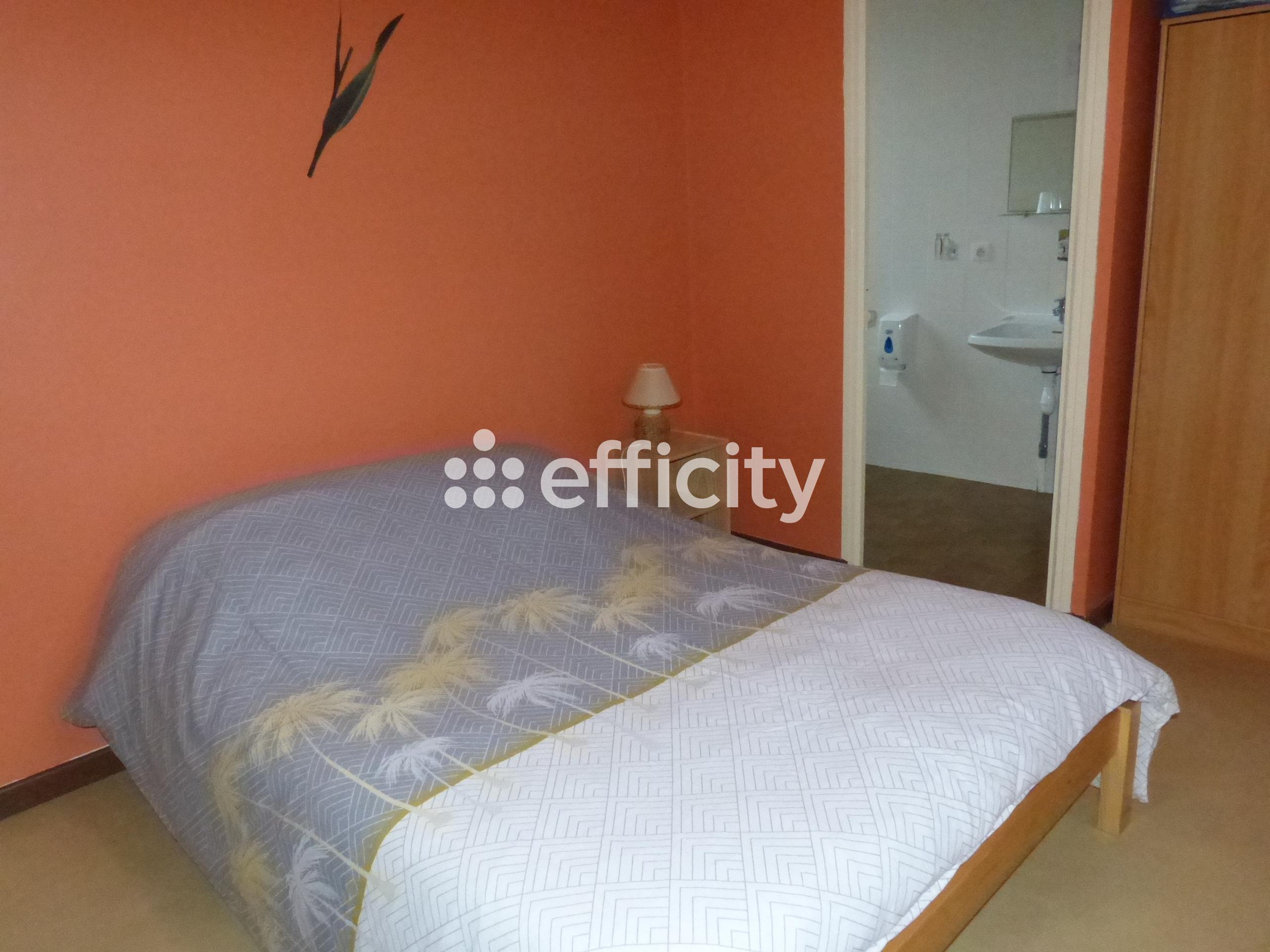 Achat immobilier Immeuble 15 pièces  600m2 à Les Monts-Verts (48200) - Photo n°9