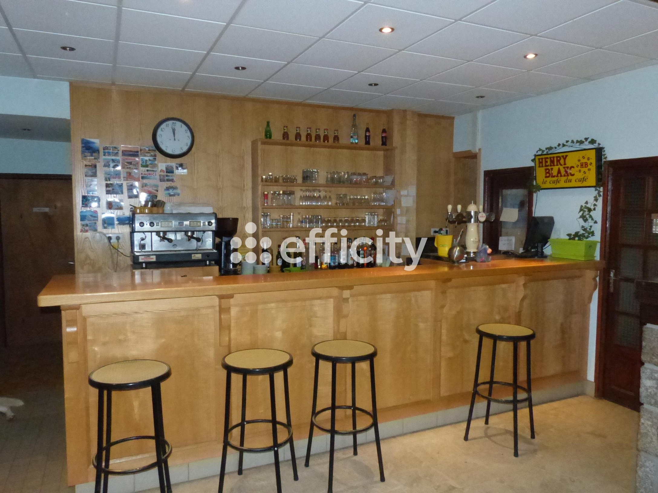 Achat immobilier Immeuble 15 pièces  600m2 à Les Monts-Verts (48200) - Photo n°4