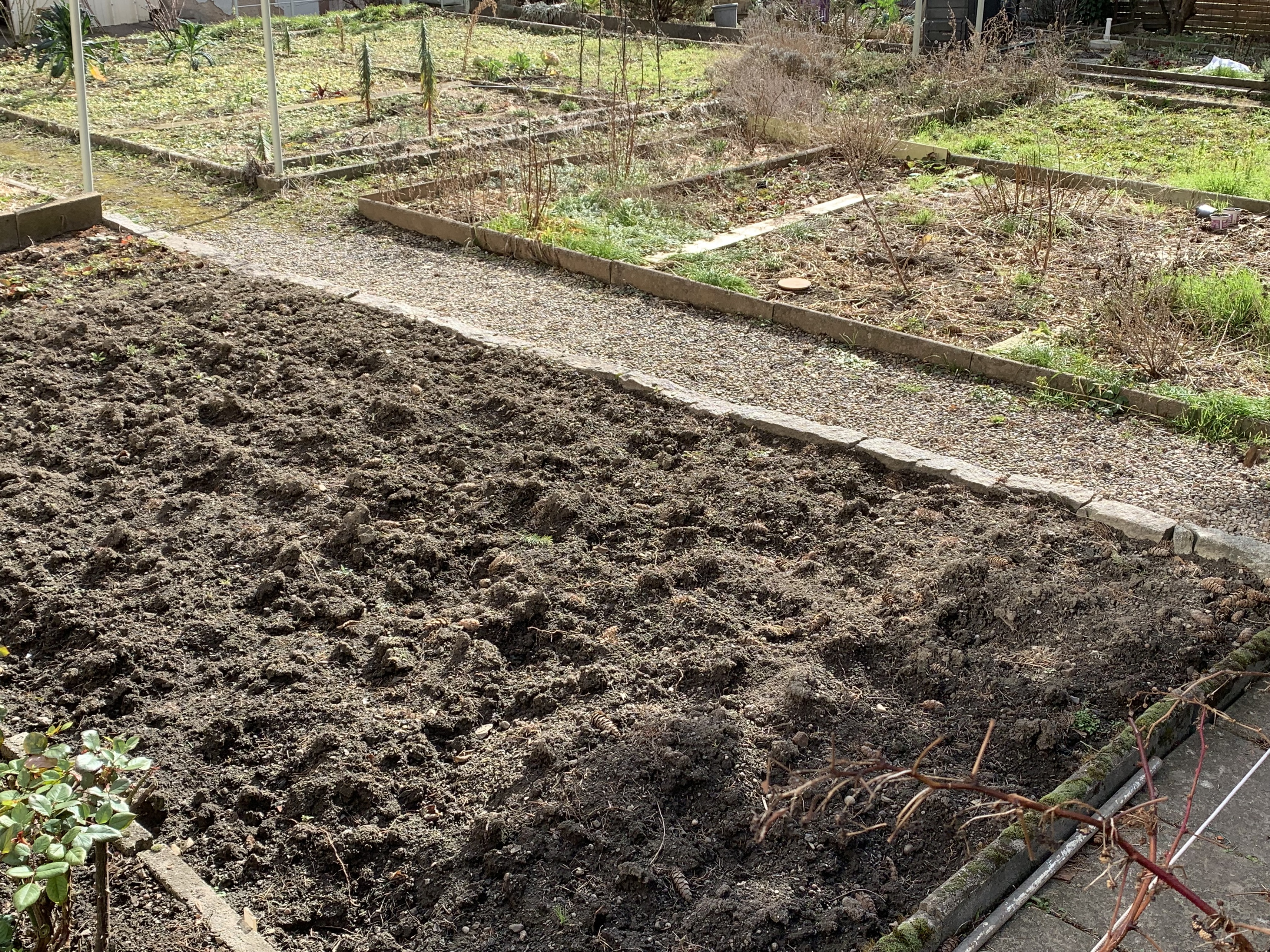 Achat immobilier Appartement 3 pièces  75m2 à Colmar (68000) - Photo n°12