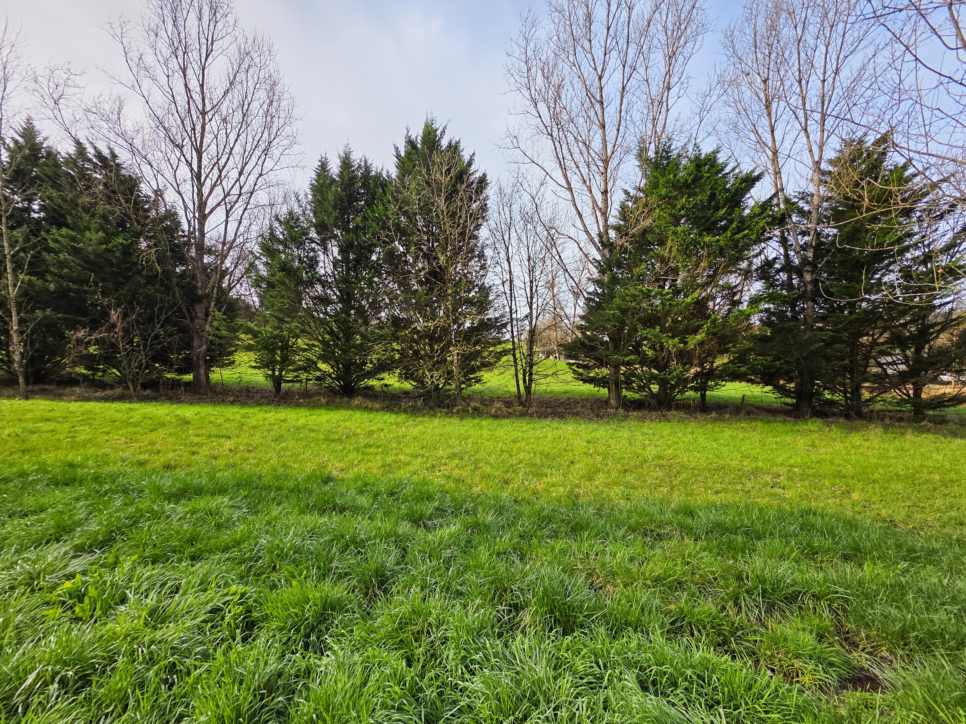 Achat immobilier Terrain   1809m2 à Agen (47000) - Photo n°1