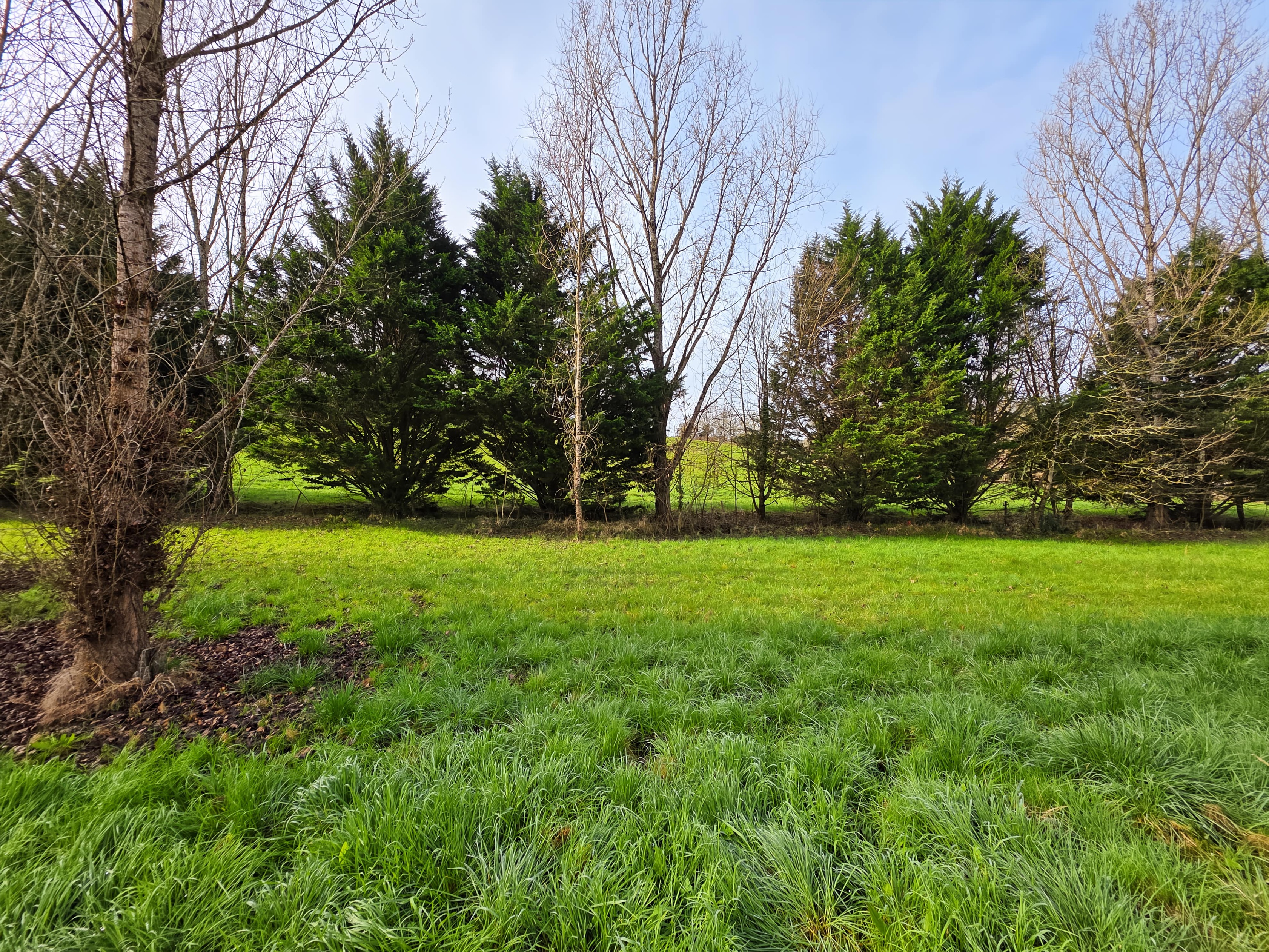 Achat immobilier Terrain   1810m2 à Agen (47000) - Photo n°1