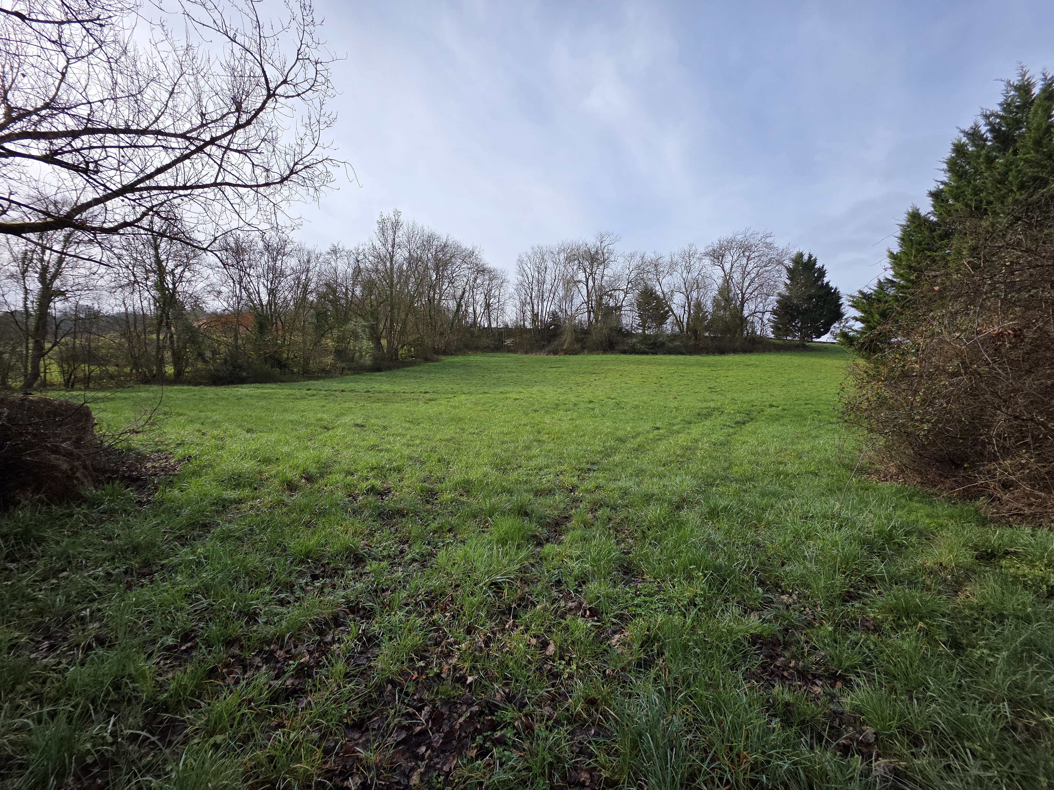 Achat immobilier Terrain   1632m2 à Agen (47000) - Photo n°1