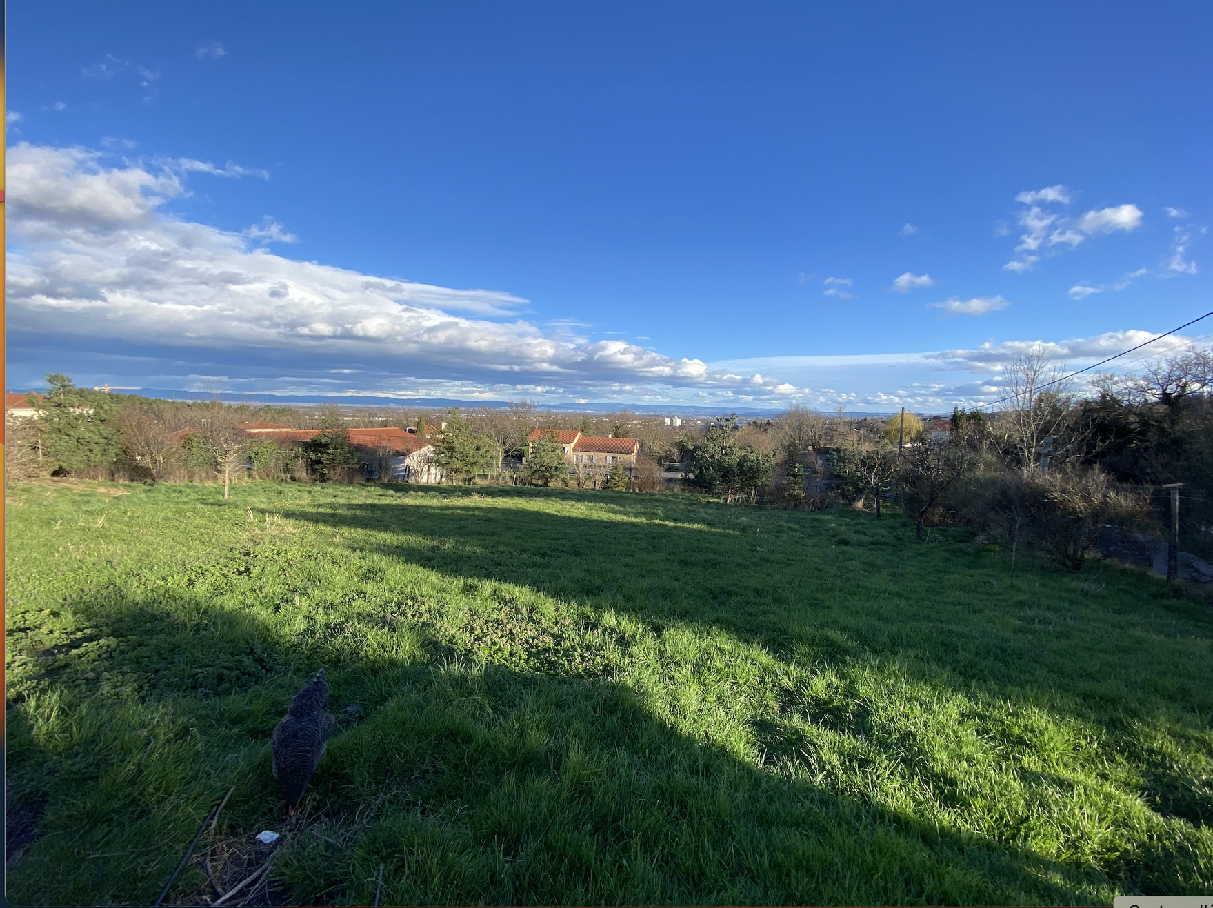 Achat immobilier Terrain   2040m2 à Montbrison (42600) - Photo n°1