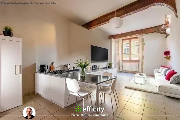 appartement 1 pièces - 31m2 à Sain-Bel (69210)