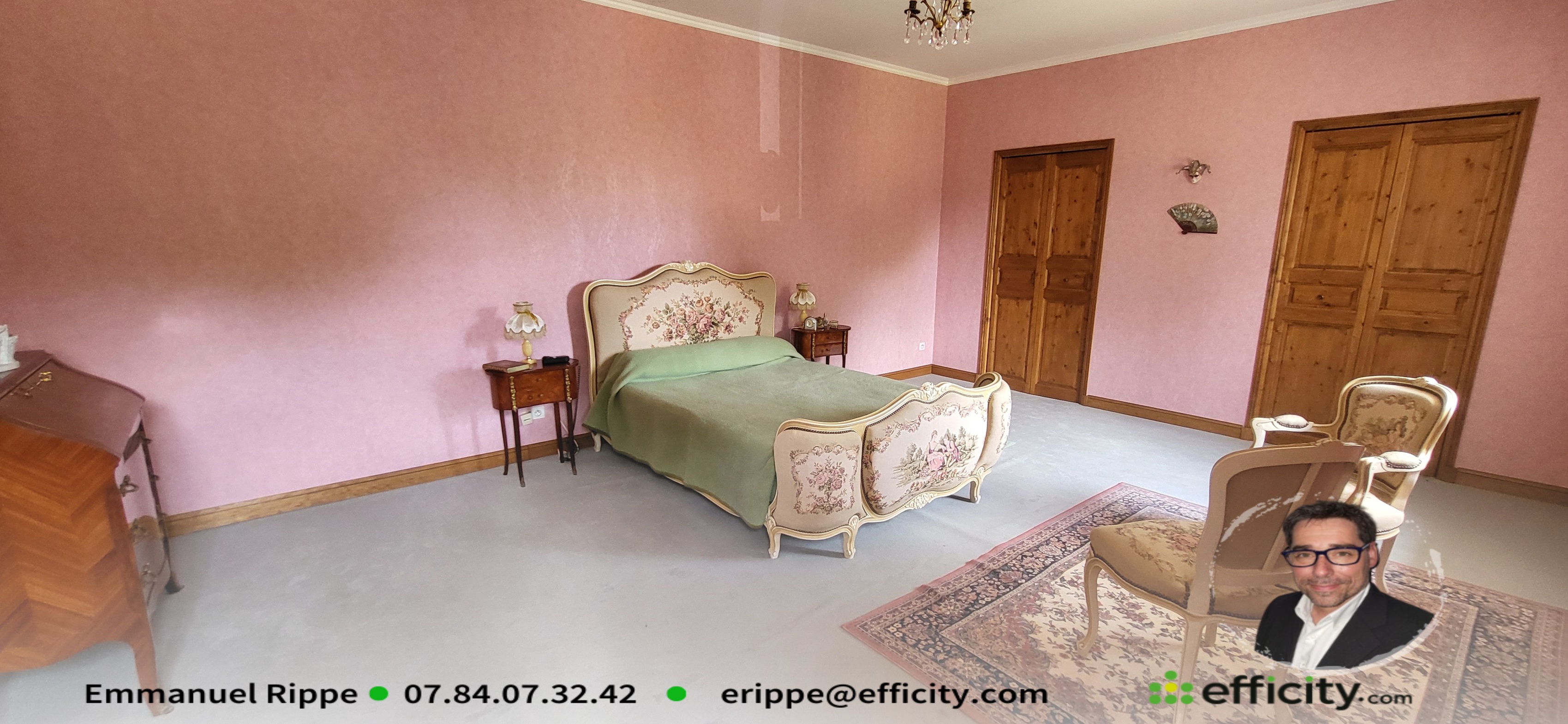 Achat immobilier Maison 9 pièces  315m2 à Saintes (17100) - Photo n°7