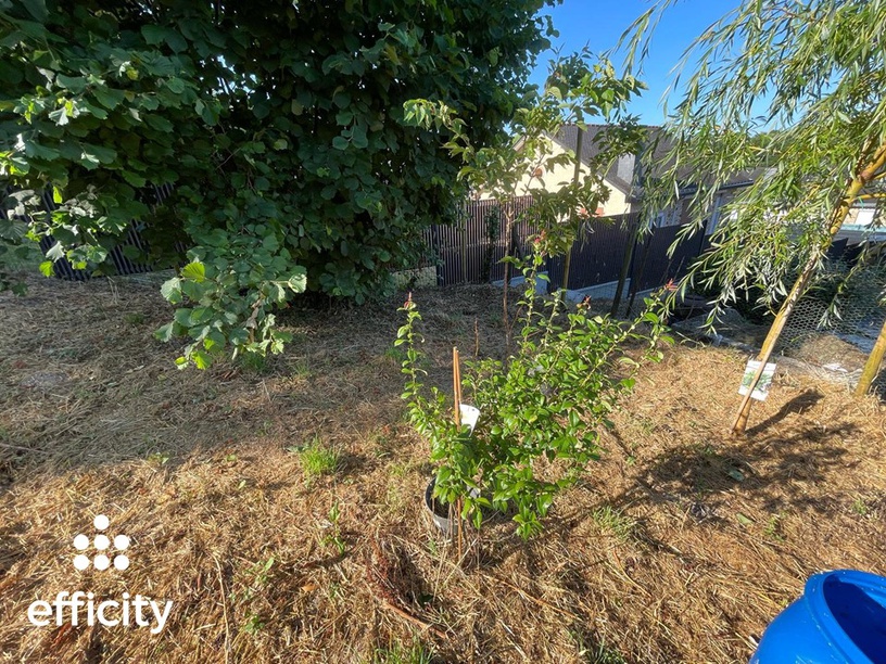 Achat immobilier Terrain   395m2 à Soulvache (44660) - Photo n°1