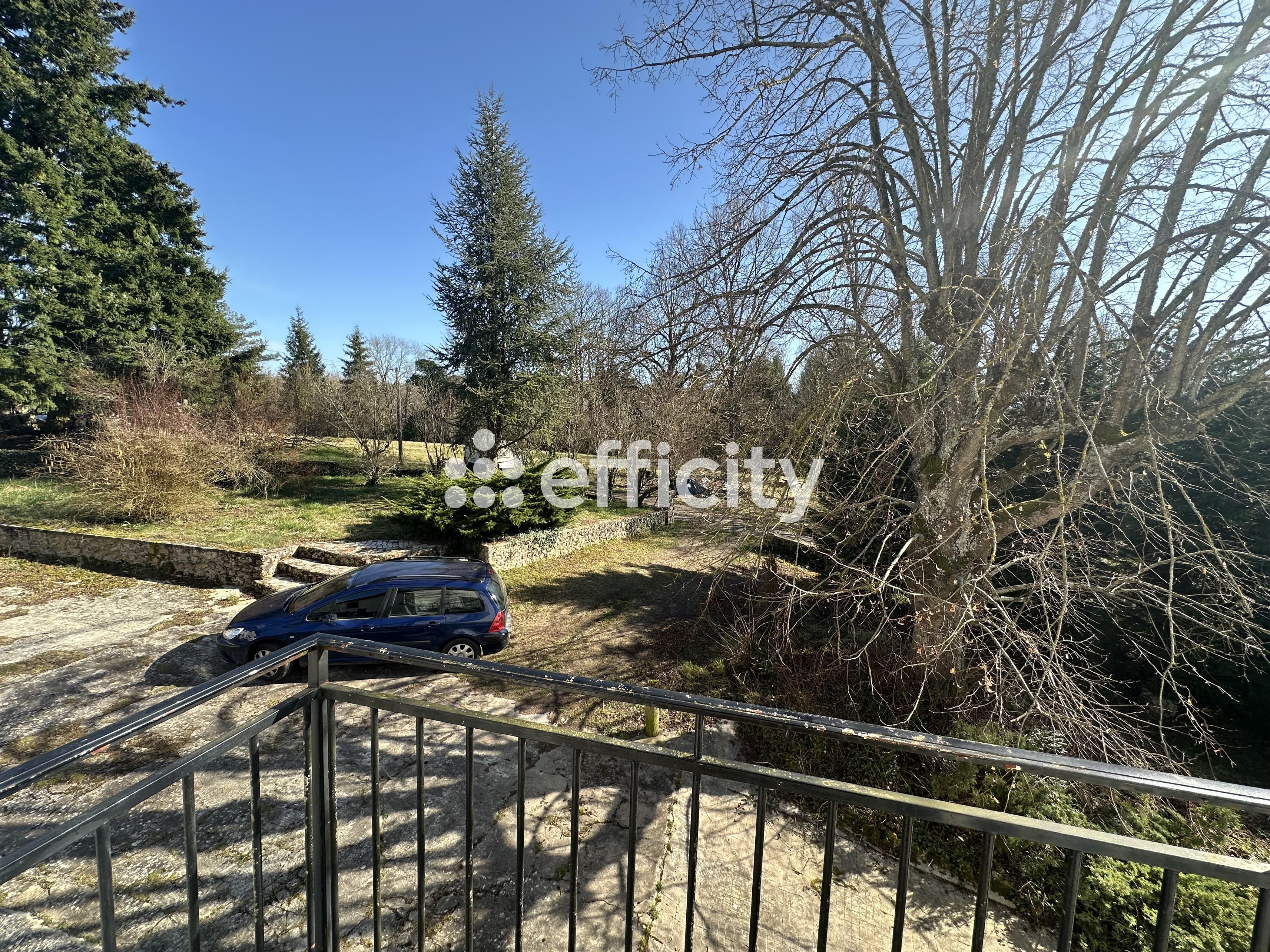 Achat immobilier Maison 14 pièces  380m2 à Nouzilly (37380) - Photo n°9
