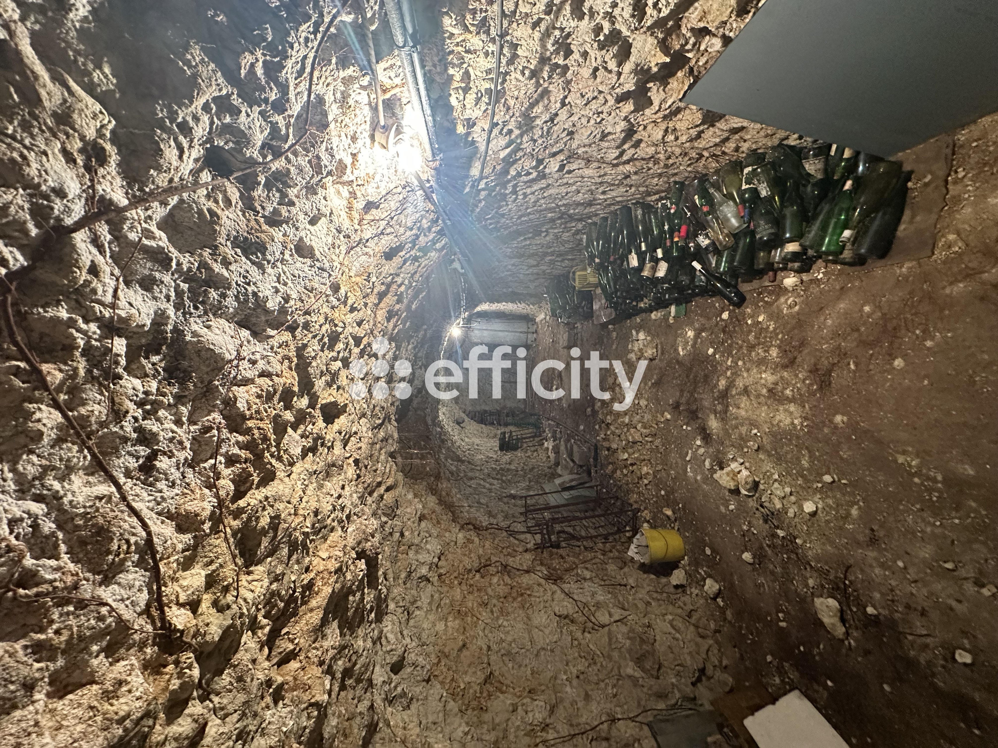 Achat immobilier Maison 14 pièces  380m2 à Nouzilly (37380) - Photo n°12