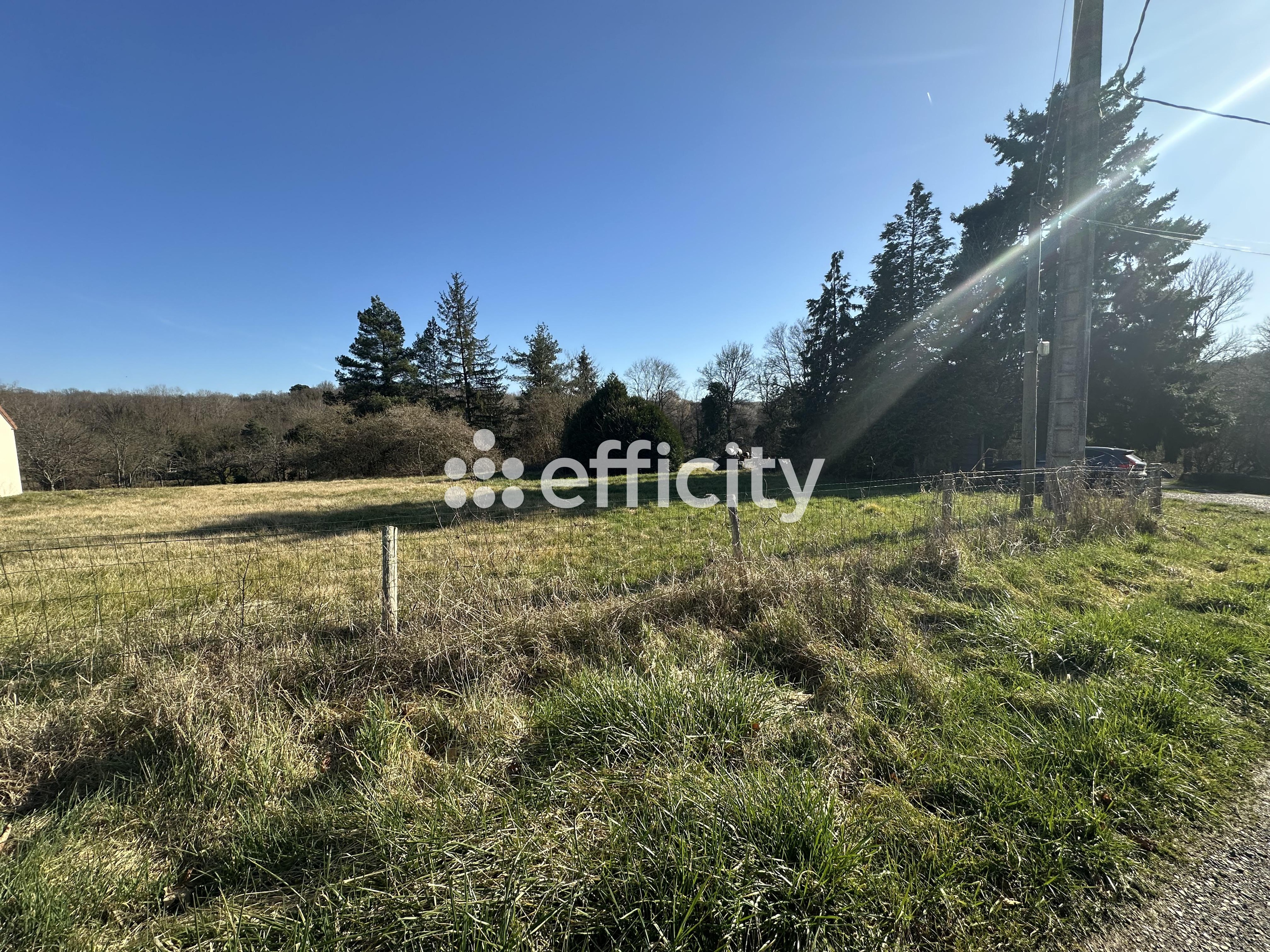 Achat immobilier Maison 14 pièces  380m2 à Nouzilly (37380) - Photo n°6