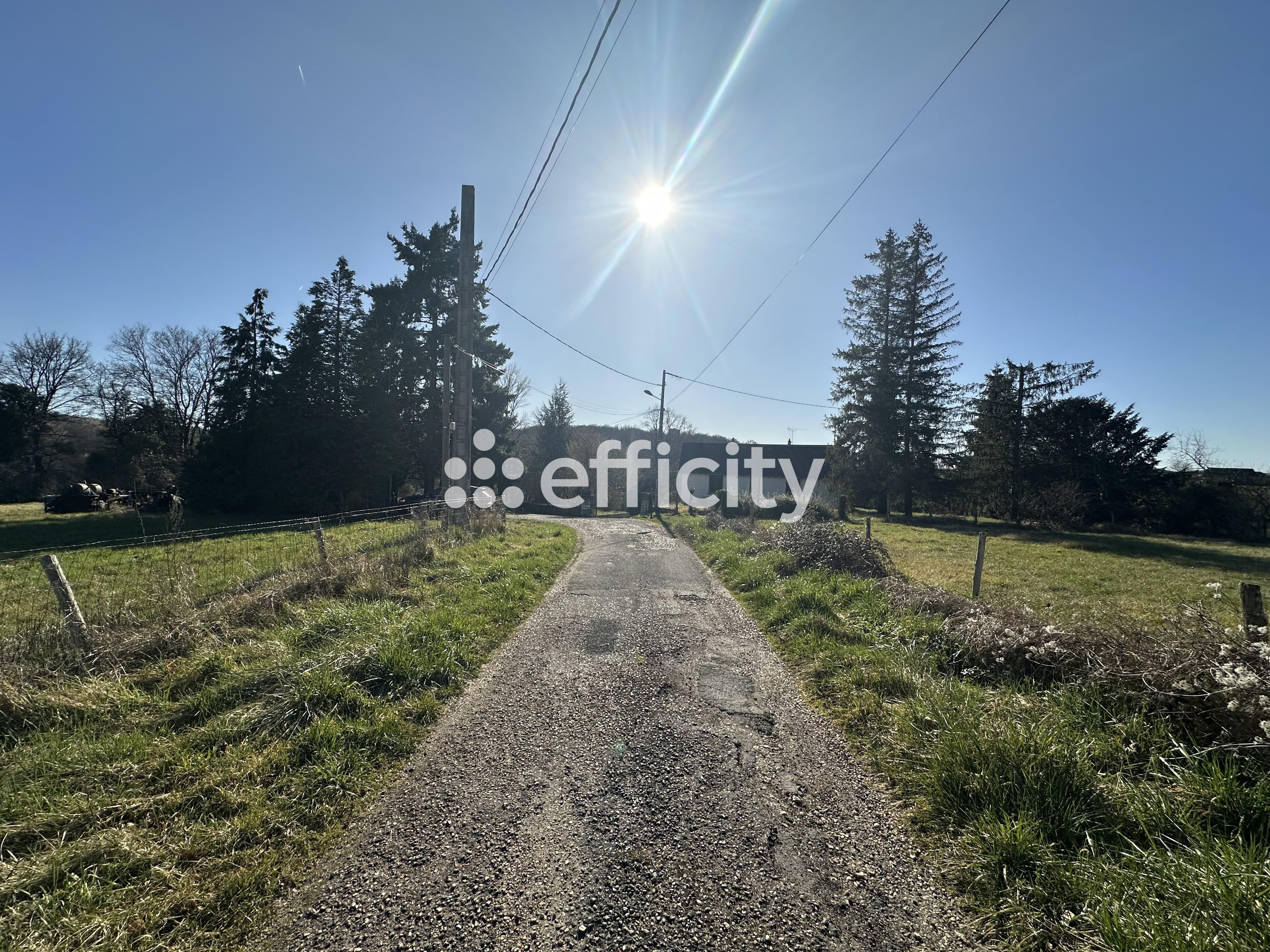 Achat immobilier Maison 14 pièces  380m2 à Nouzilly (37380) - Photo n°7