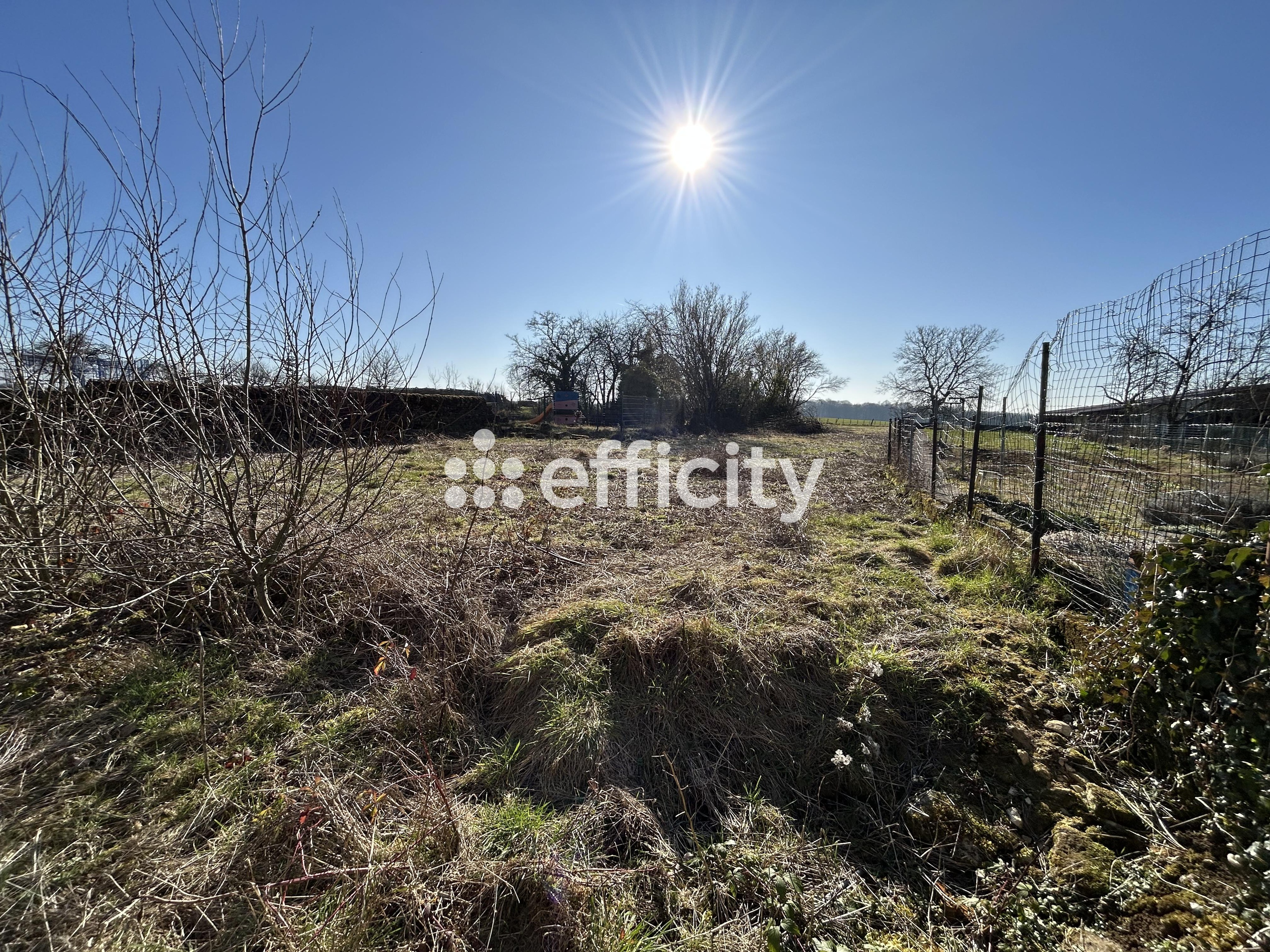 Achat immobilier Terrain   1000m2 à Laix (54720) - Photo n°7
