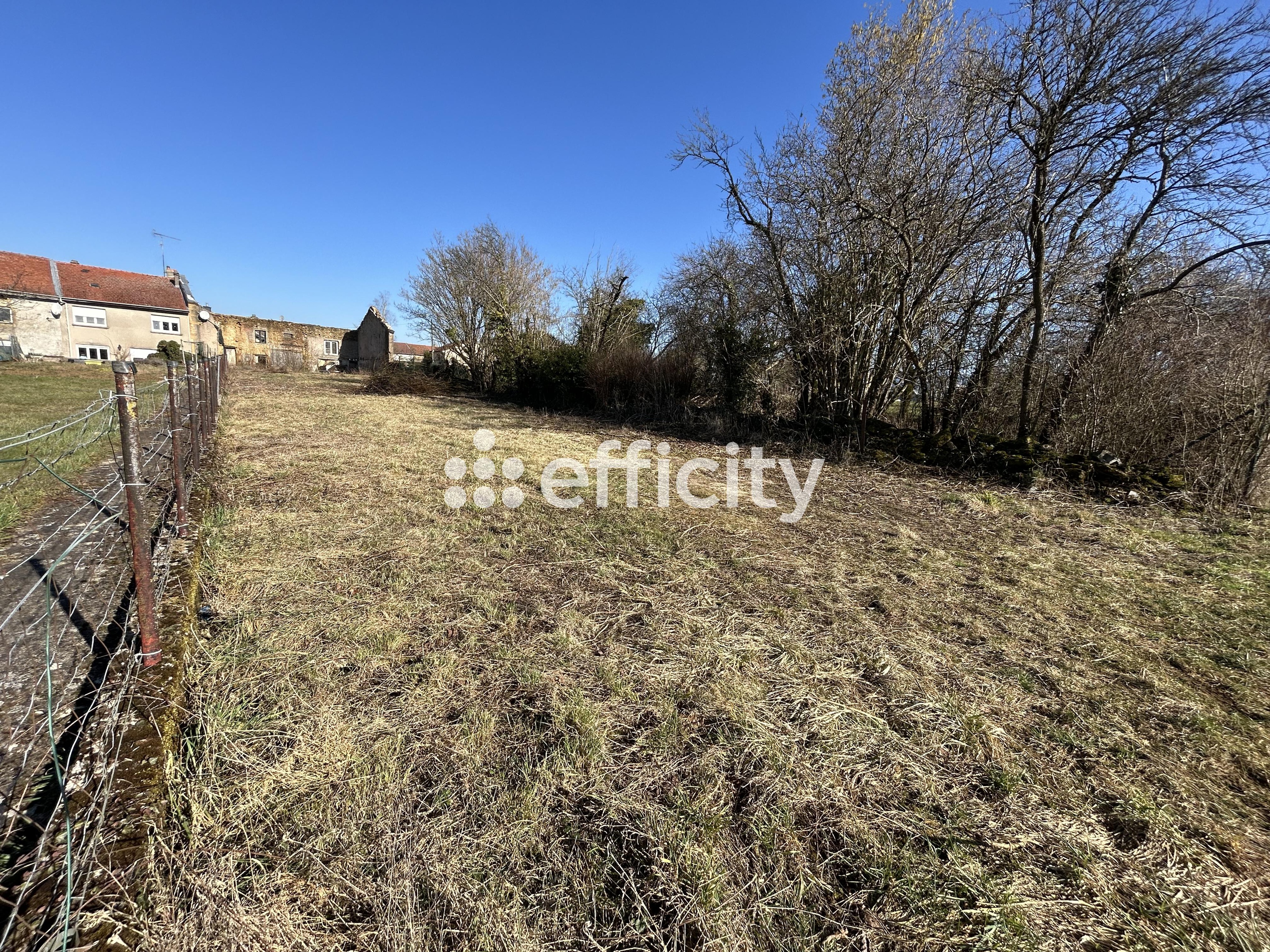 Achat immobilier Terrain   1000m2 à Laix (54720) - Photo n°8