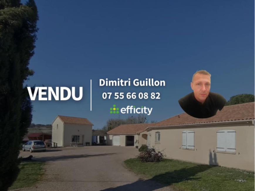 Achat immobilier Maison 8 pièces  151m2 à Châtellerault (86100) - Photo n°1