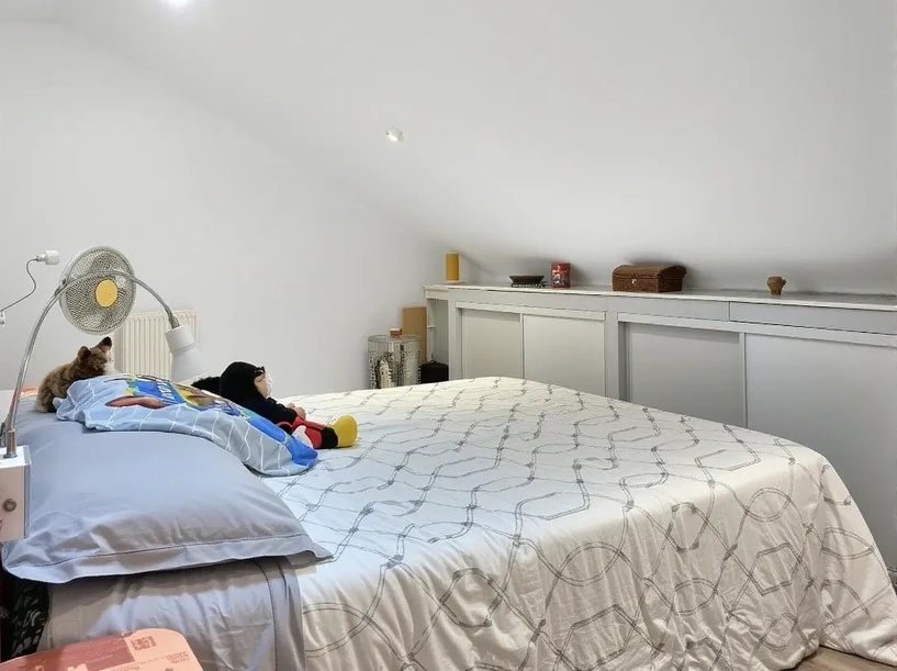 Achat immobilier Appartement 8 pièces  149m2 à Roanne (42300) - Photo n°14