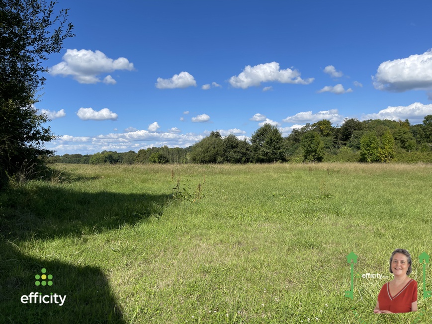 Achat immobilier Maison 4 pièces  157m2 à Launay-Villiers (53410) - Photo n°20