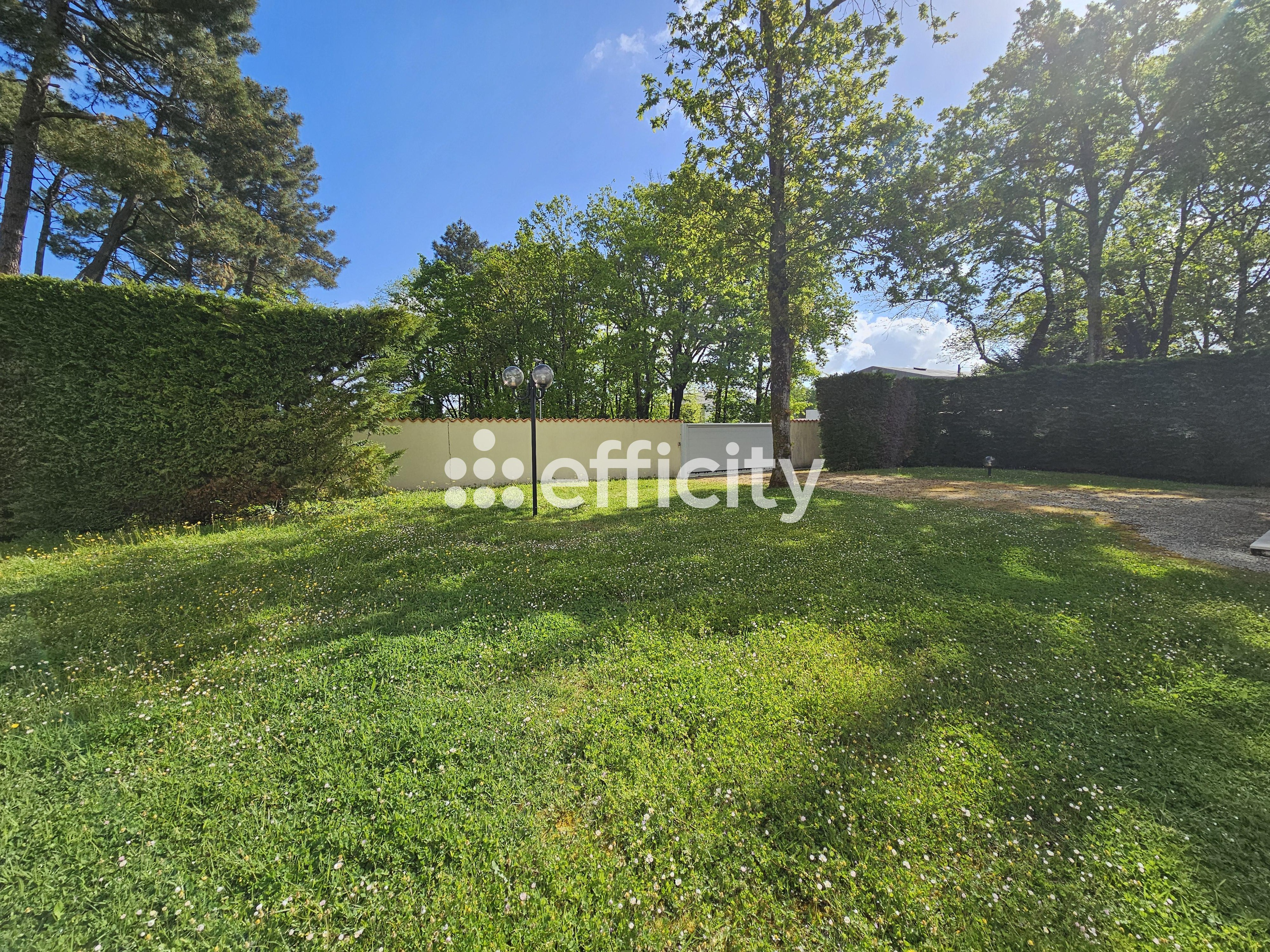 Achat immobilier Maison 2 pièces  137m2 à La Tremblade (17390) - Photo n°10