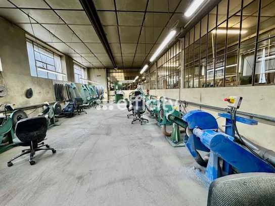 Achat immobilier Local commercial 8 pièces  540m2 à Thiers (63300) - Photo n°5