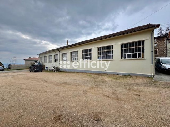 Achat immobilier Local commercial 8 pièces  540m2 à Thiers (63300) - Photo n°10