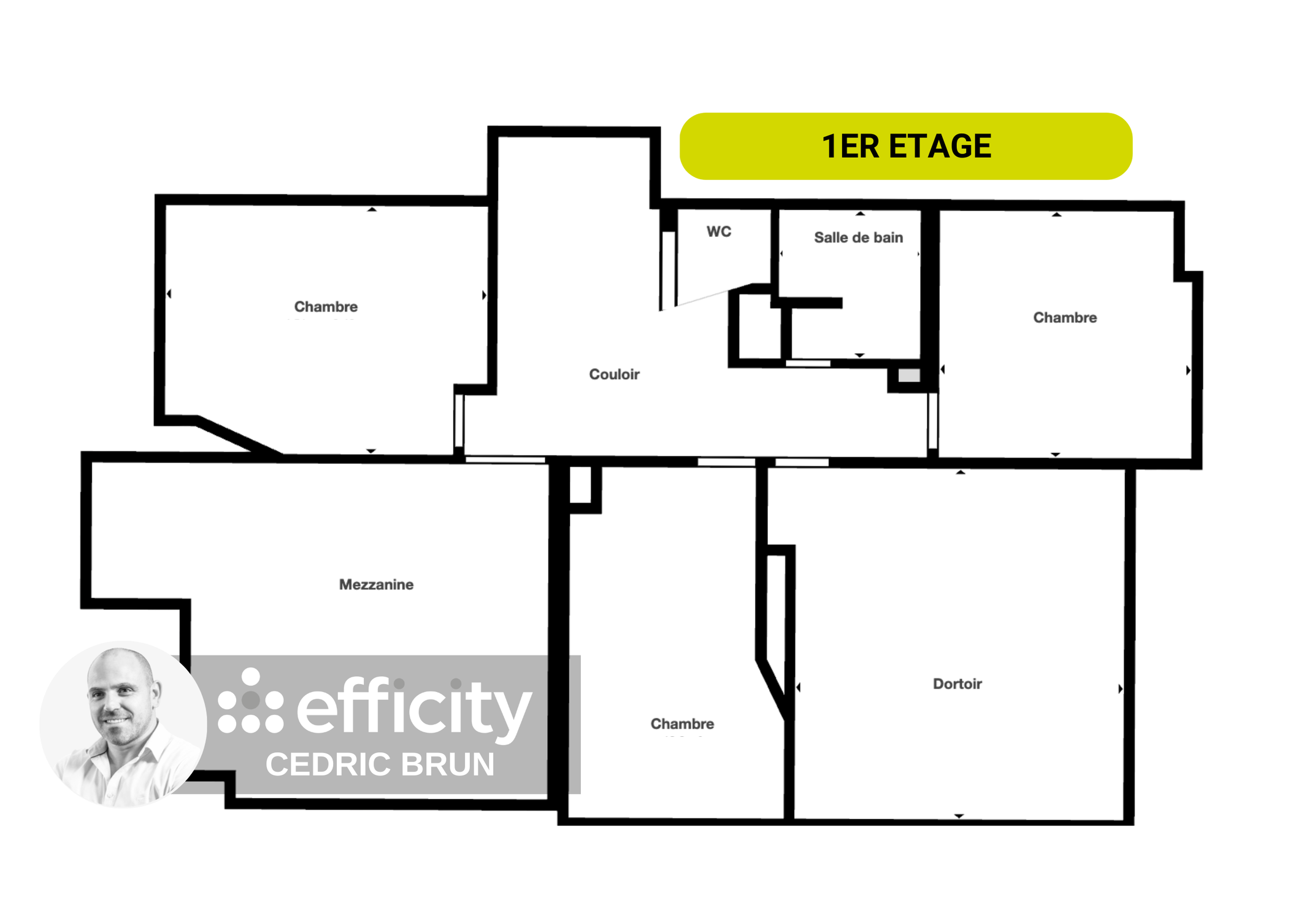 Achat immobilier Maison 7 pièces  170m2 à Passy (74190) - Photo n°13