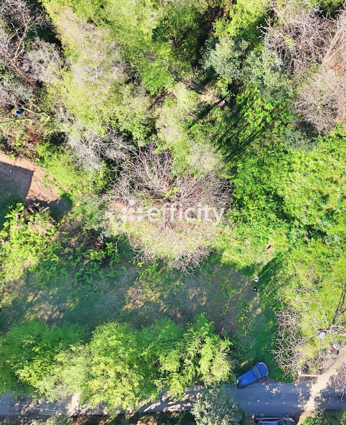 Achat immobilier Terrain   1500m2 à Cervione (20221) - Photo n°4