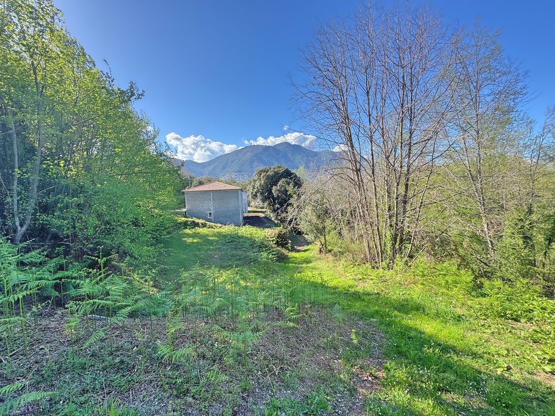 terrain  - 1500m2 à Cervione (20221)