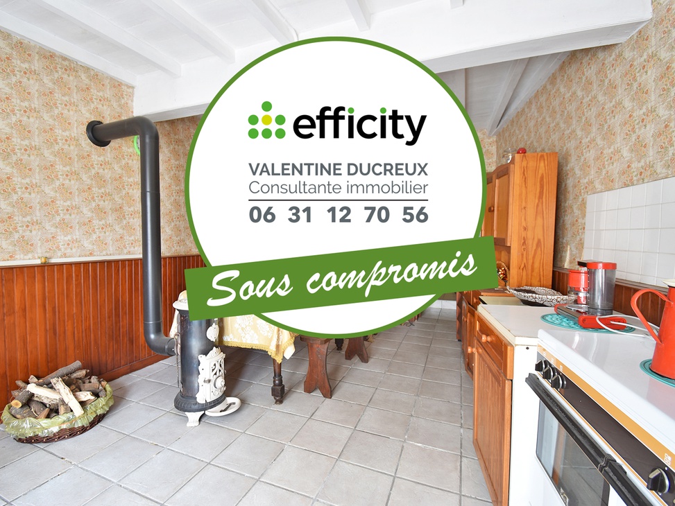 maison 3 pièces - 47m2 à Maringes (42140)