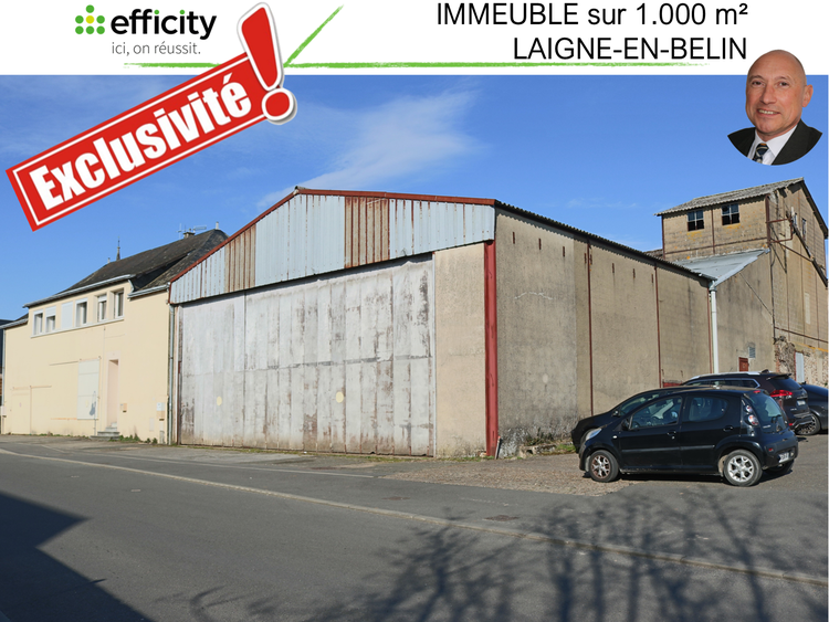 immeuble  - 1000m2 à Laigné-en-Belin (72220)