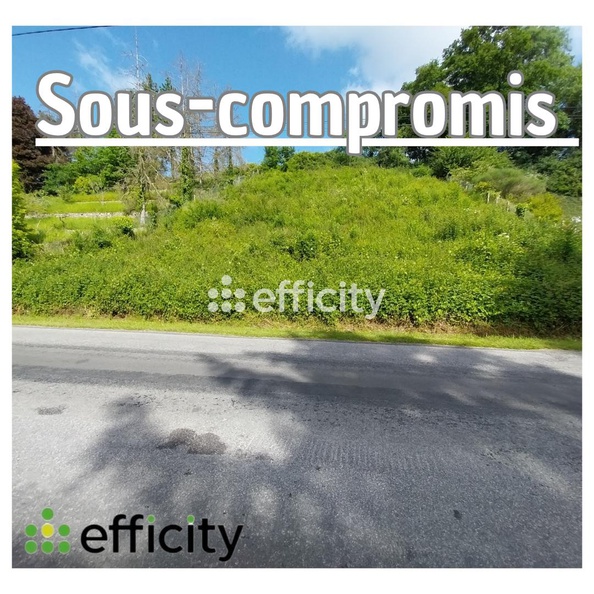 terrain  - 1008m2 à Cloyes-les-Trois-Rivières (28220)