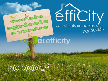 terrain  - 50000m2 à Montsinéry-Tonnegrande (97356)