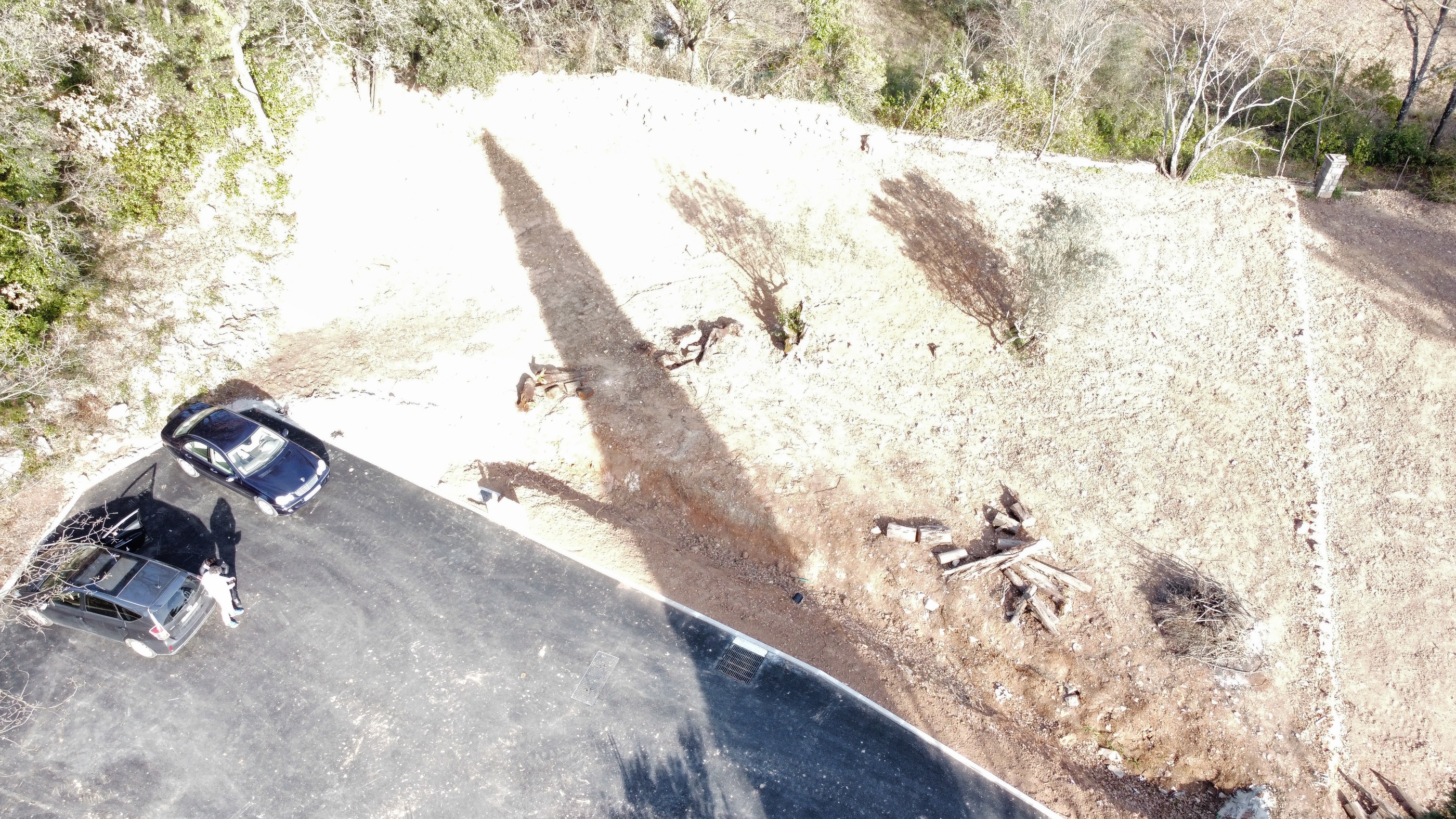 Photo illustration