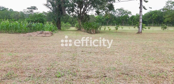 terrain  - 12836m2 à Macouria (97355)