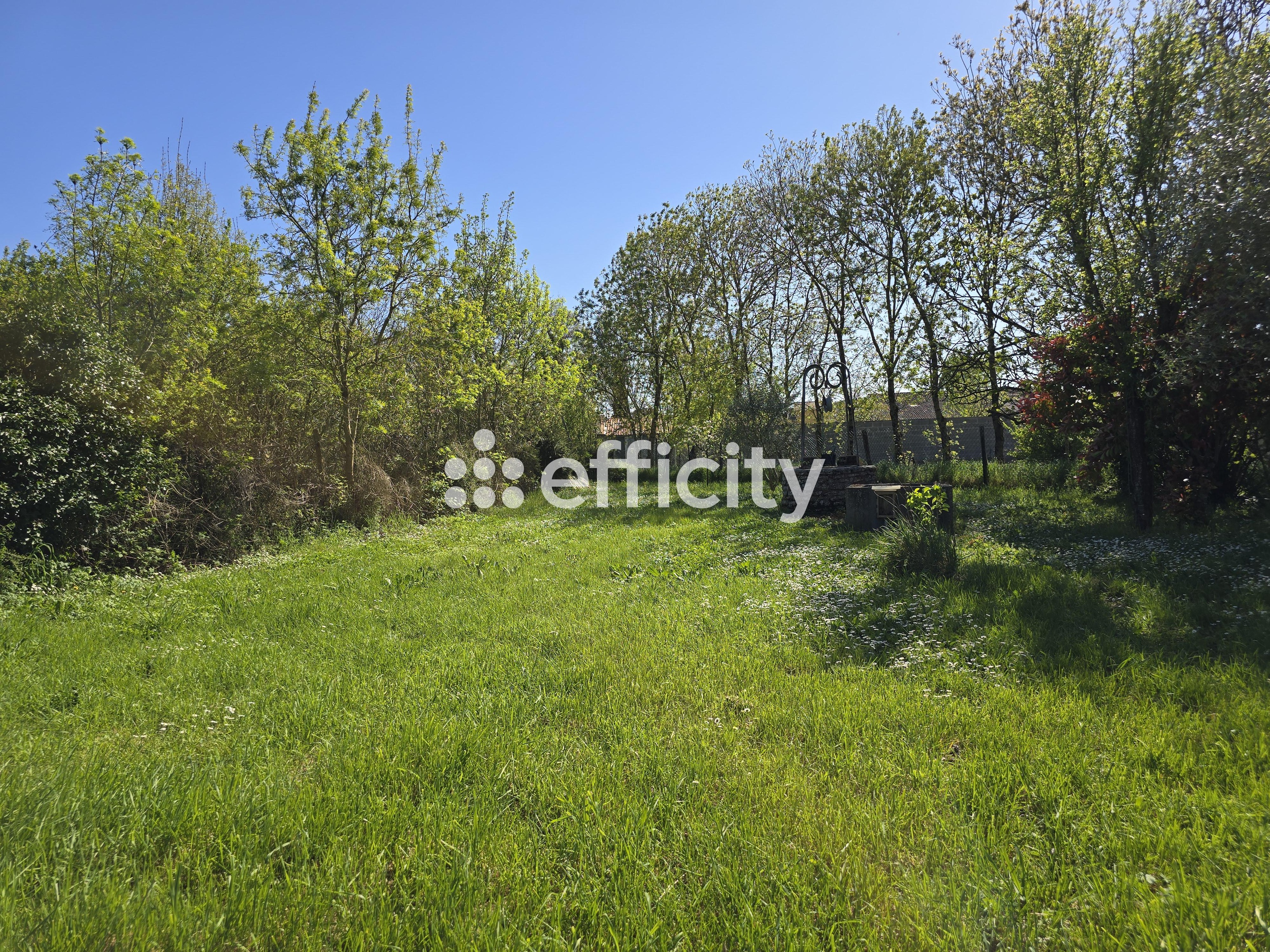 Achat immobilier Maison 3 pièces  92m2 à Longèves (17230) - Photo n°6