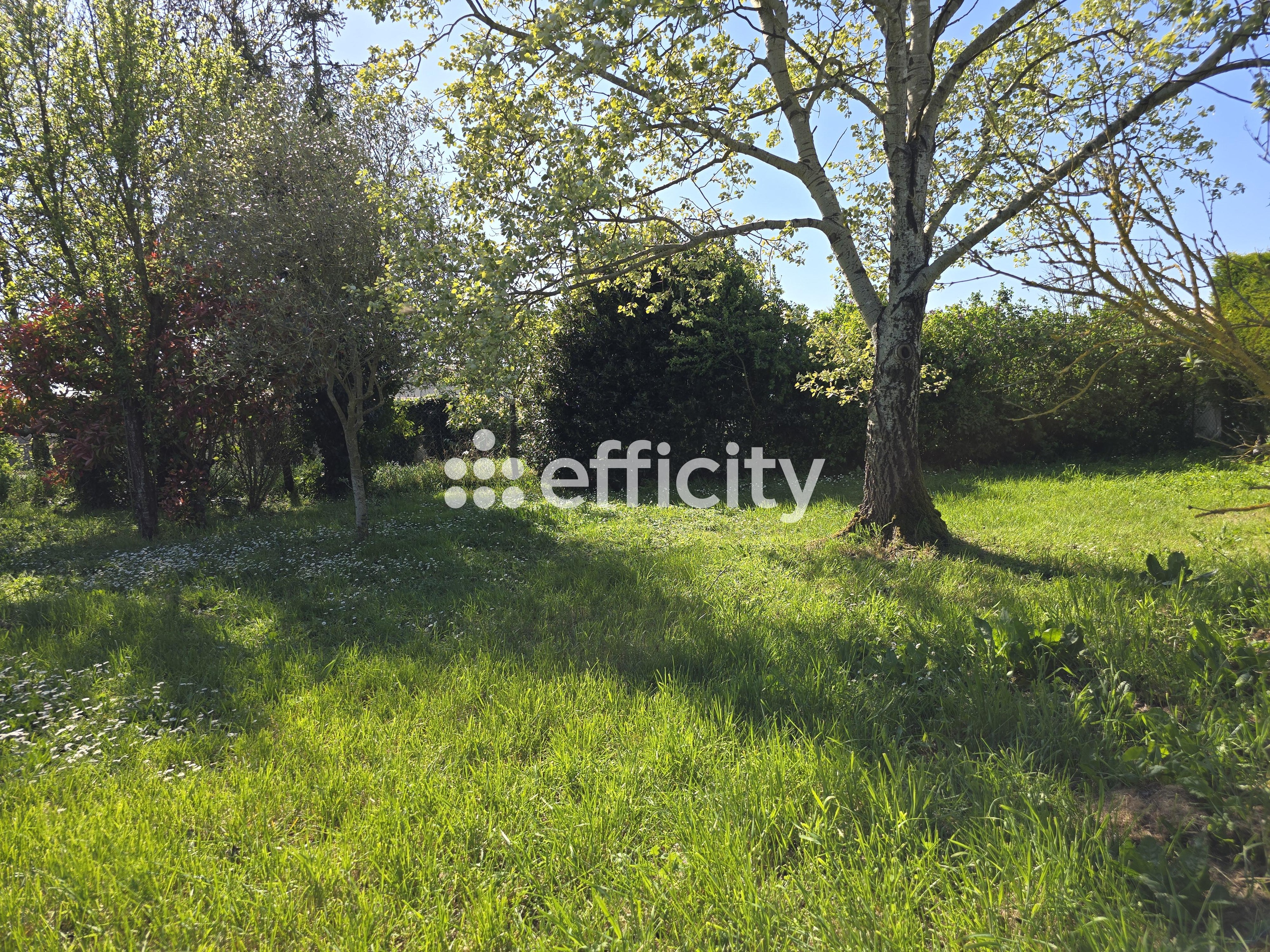 Achat immobilier Maison 3 pièces  92m2 à Longèves (17230) - Photo n°11