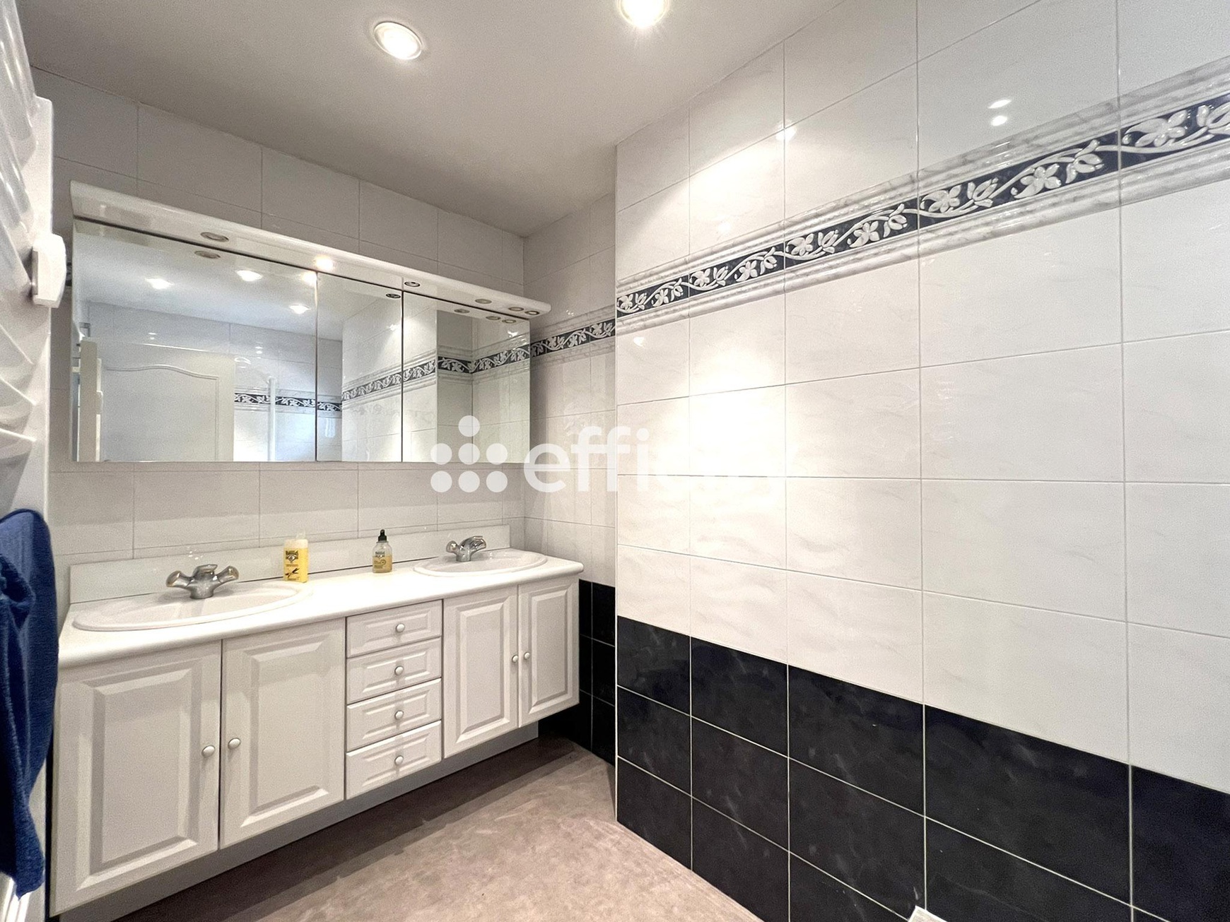 Achat immobilier Appartement 5 pièces  157m2 à Saint-Étienne (42100) - Photo n°13