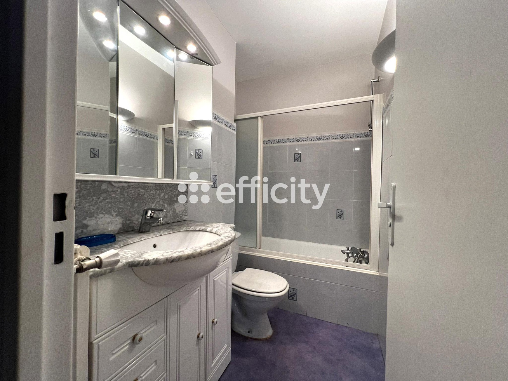 Achat immobilier Appartement 5 pièces  157m2 à Saint-Étienne (42100) - Photo n°16