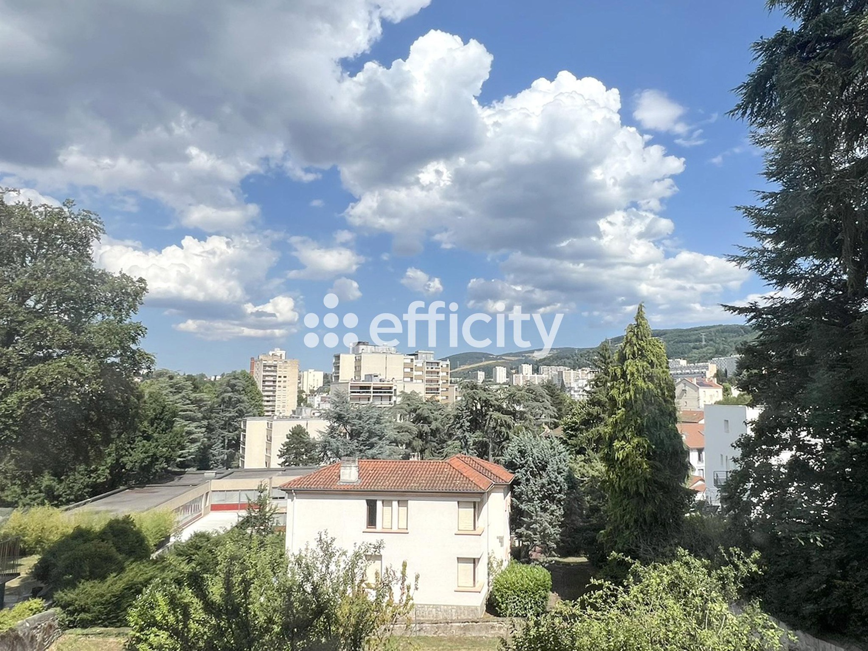 Achat immobilier Appartement 5 pièces  157m2 à Saint-Étienne (42100) - Photo n°18