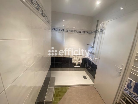 Achat immobilier Appartement 5 pièces  157m2 à Saint-Étienne (42100) - Photo n°11