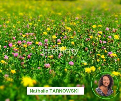 terrain  - 319,0m2 à Angoulins (17690)