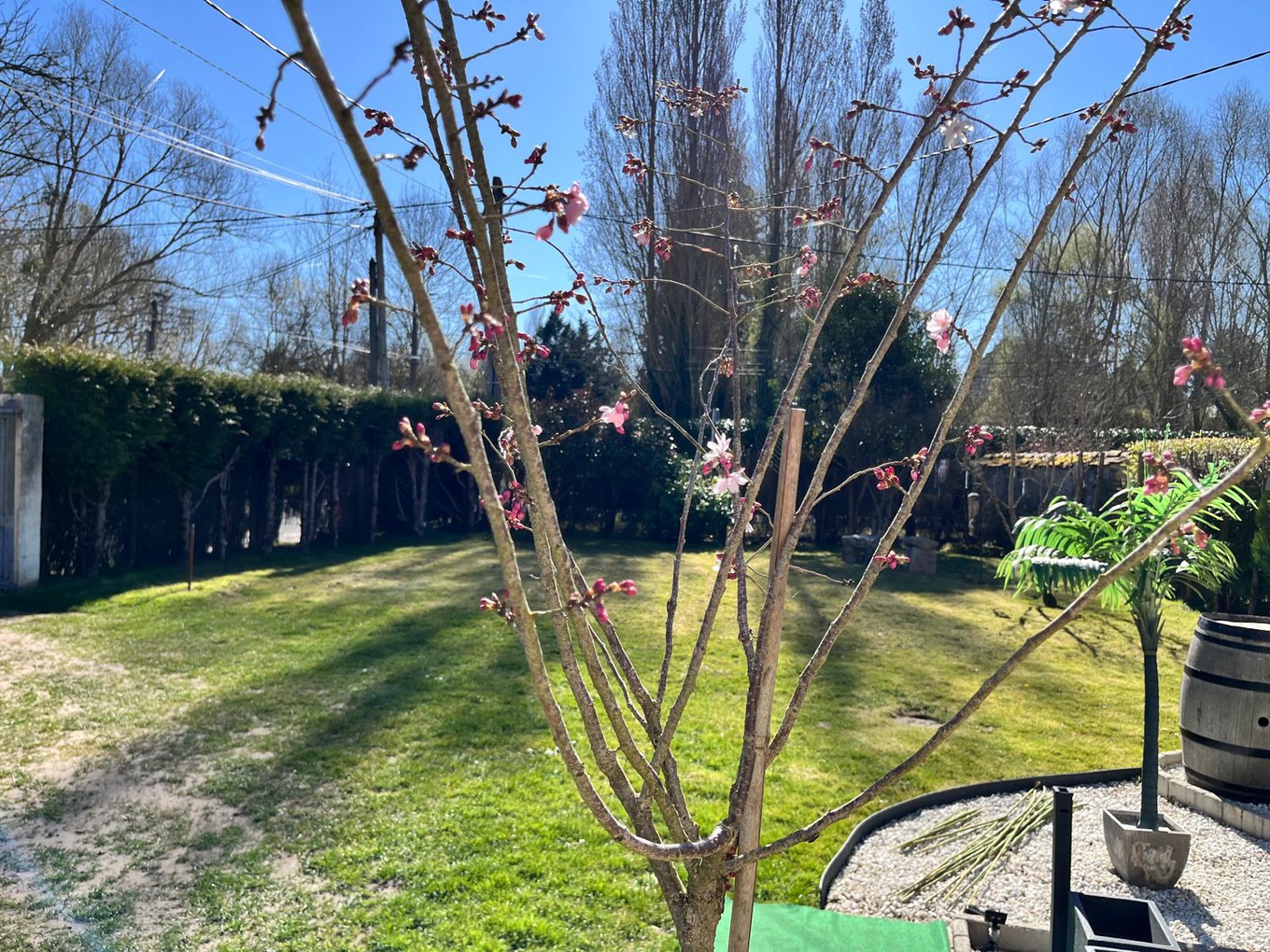 Achat immobilier Maison 3 pièces  63m2 à Houdan (78550) - Photo n°11