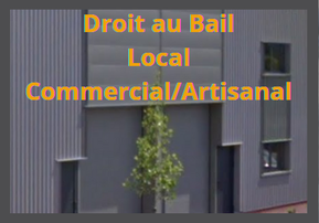 fonds de commerce  - 133m2 à Sillingy (74330)