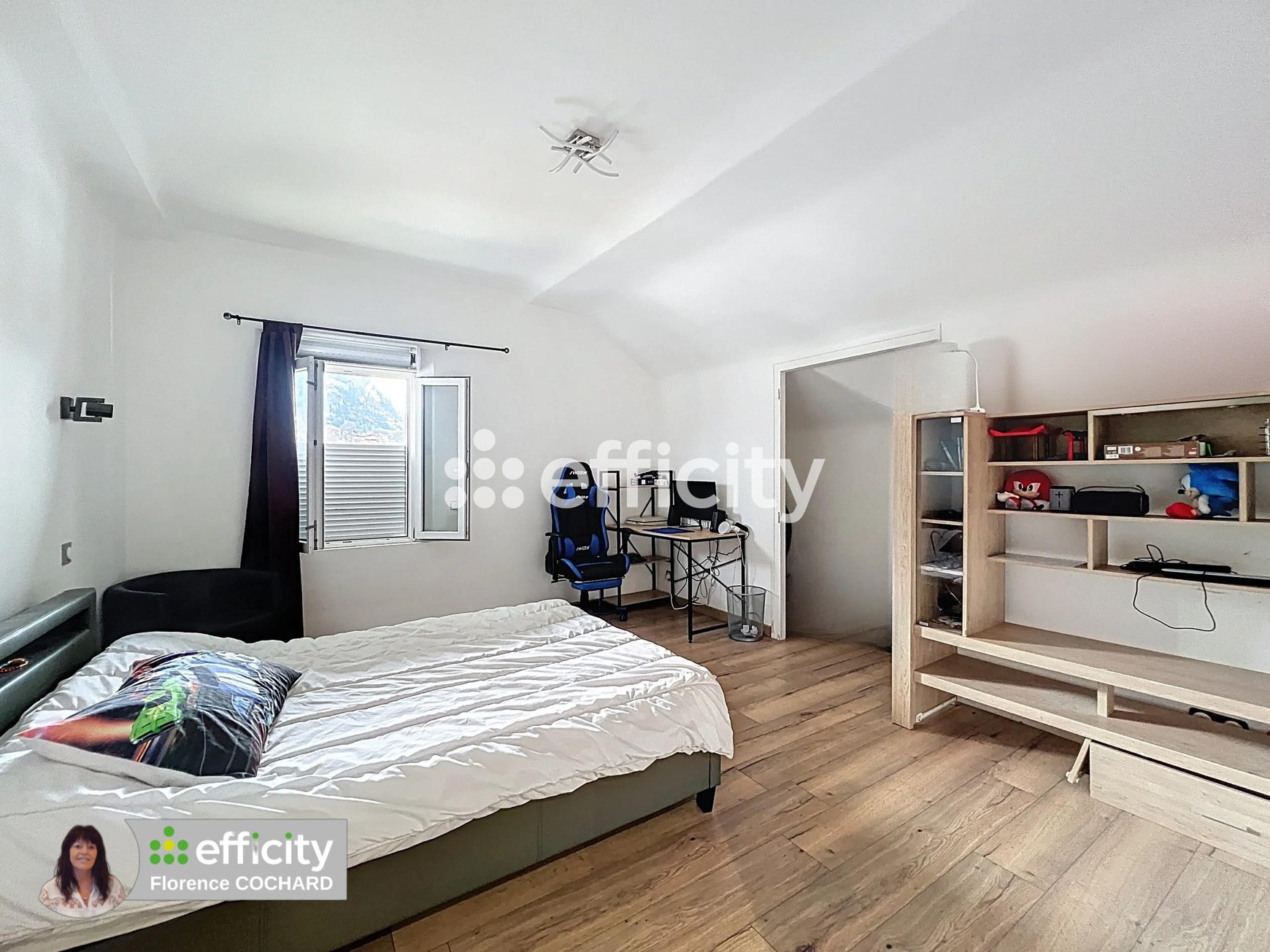 Achat immobilier Maison 13 pièces  408m2 à Scionzier (74950) - Photo n°10