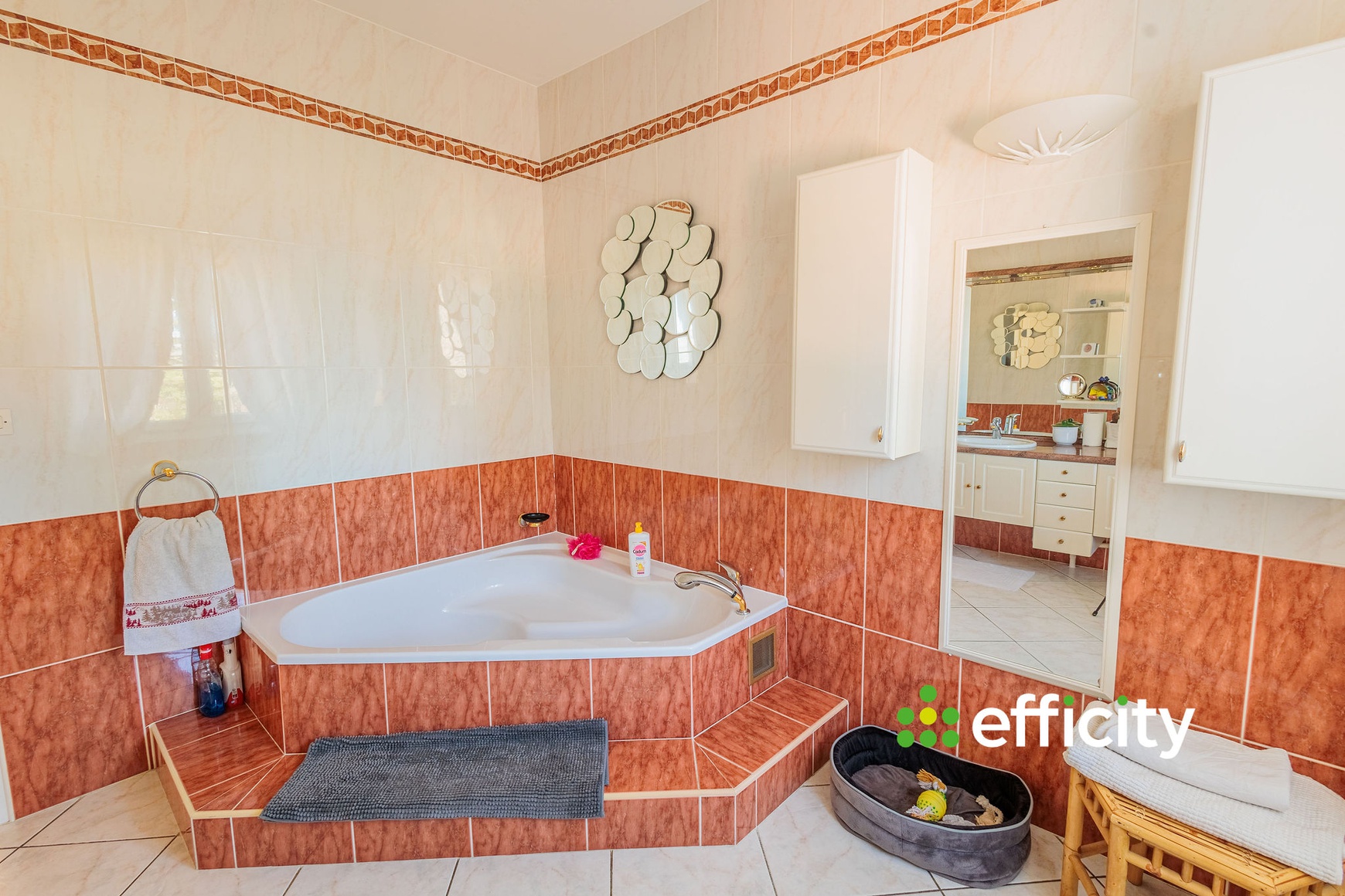 Achat immobilier Maison 8 pièces  232m2 à Saint-Pierre-de-Chandieu (69780) - Photo n°11